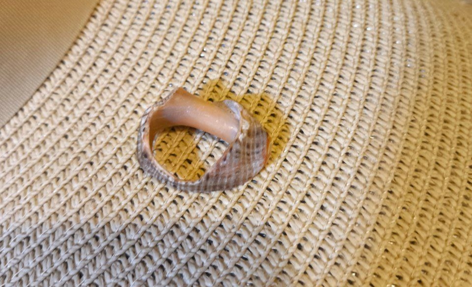 Sea treasure - My, Ring, Sea, Decoration, Presents, Seashells, hidden treasures