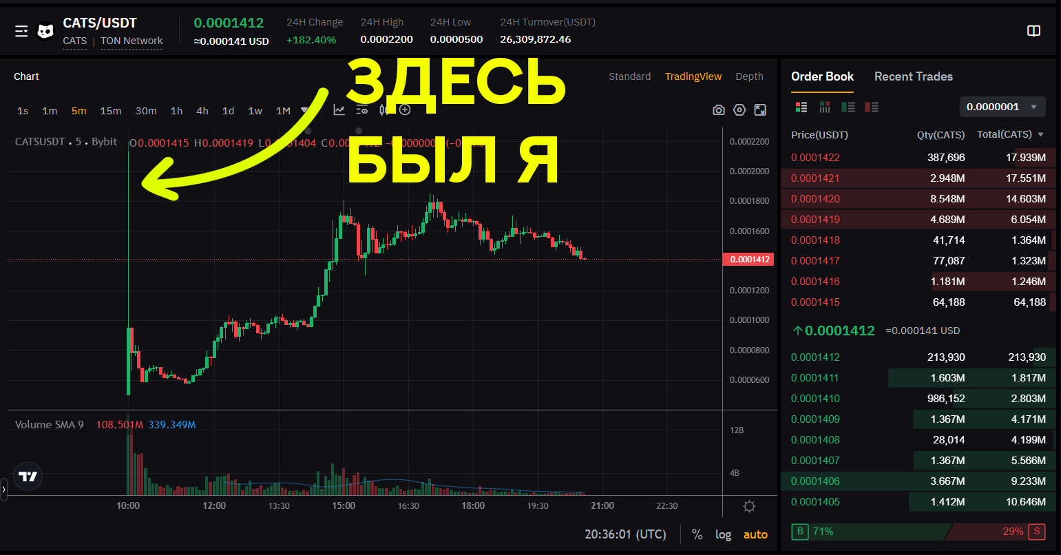 How I earned 98,349 rubles on investments in CATS. Quadcopters are in shock, everyone is in shock and I am in shock. Victor Koch's method - My, Cryptocurrency, Investments, cat, Victor Koch, Hamster Kombat, Telegram, Longpost