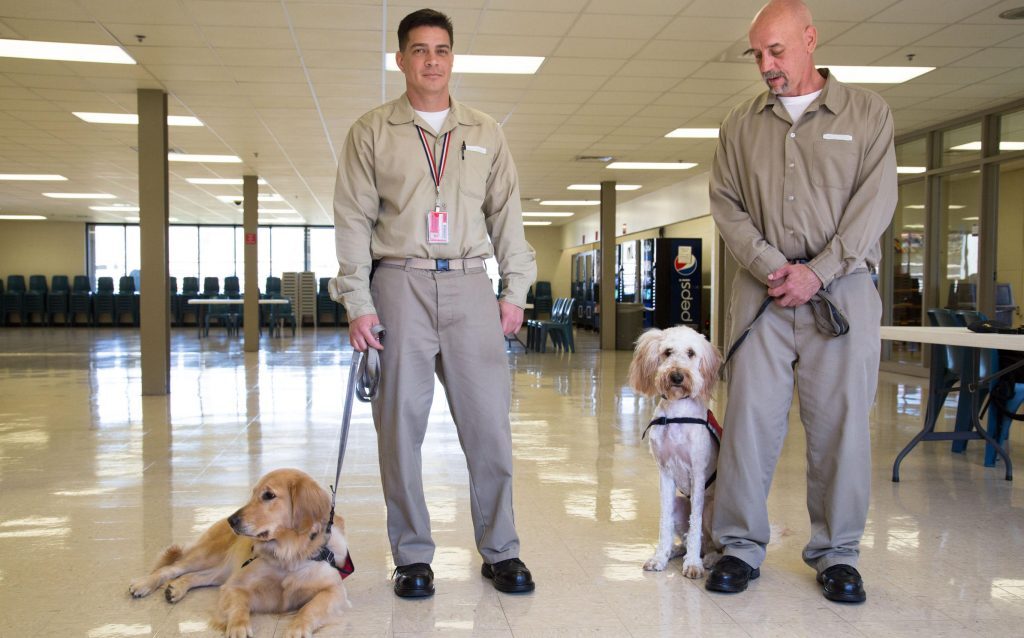 How Prison Inmates Change Their Lives By Training Service Dogs - Dog, American prison, Society, Prisoners, Service dogs, Video, Youtube, Longpost