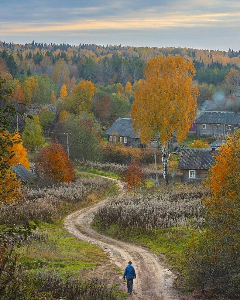 Road to home, Leningrad region - Village, The photo, Leningrad region, Autumn