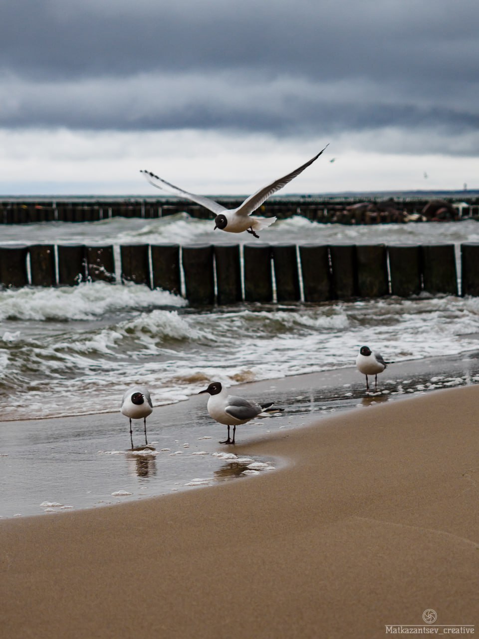 Promenade in Zelenogradsk with a view of the Baltic Sea - My, Kaliningrad region, City walk, sights, Architecture, Street photography, Longpost