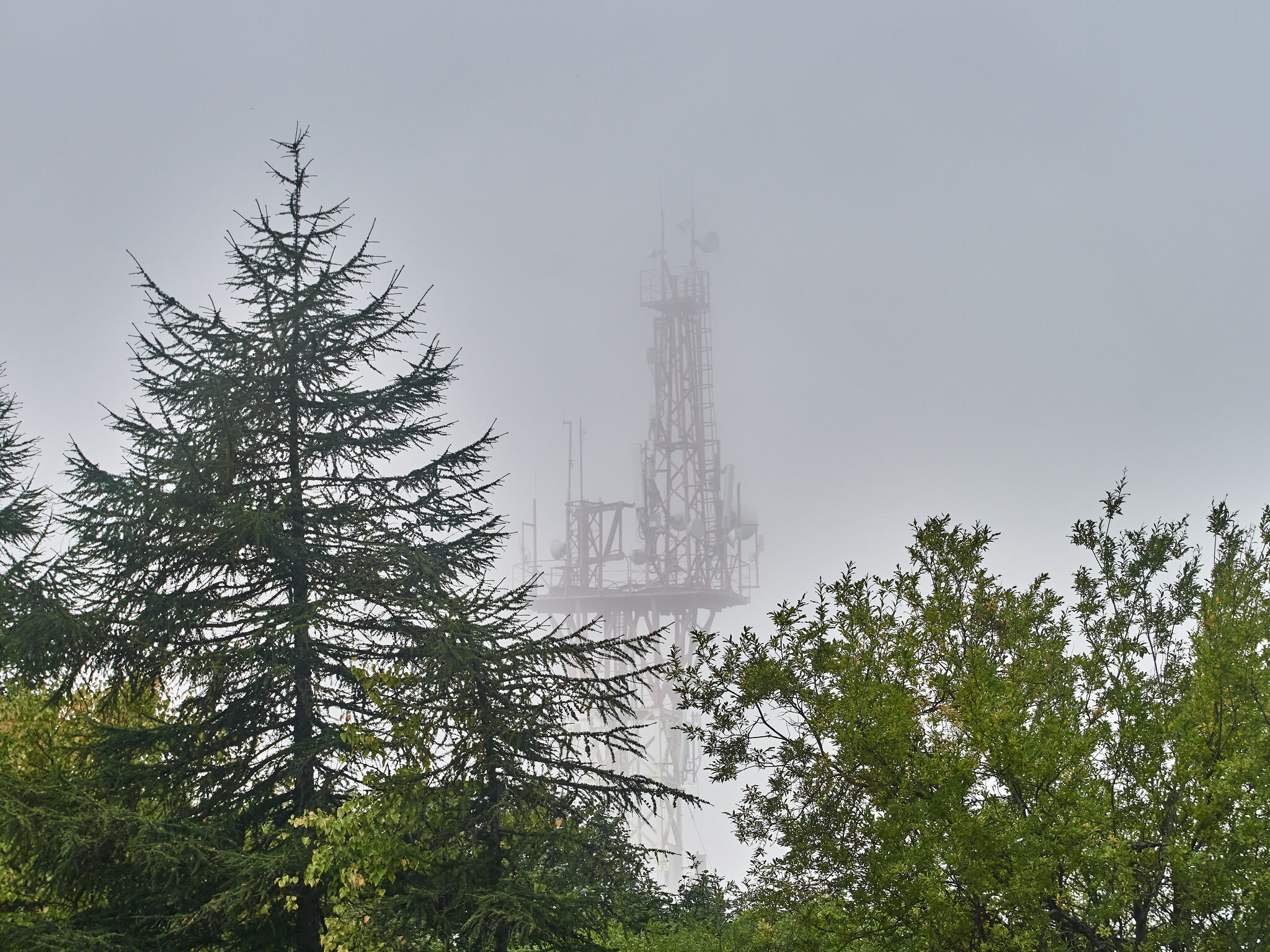 Autumn Magadan - My, Landscape, Fog, Taiga, dawn, The sun, Hills, The mountains, A harsh land, Beautiful view, Autumn, Magadan, Seagulls, Ferris wheel, Antenna, Roof, Longpost