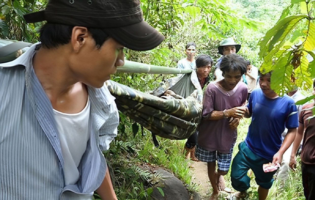 The jungle is calling - Liberty, Vietnam, Person, Psychological trauma, Jungle, Father, People, Longpost