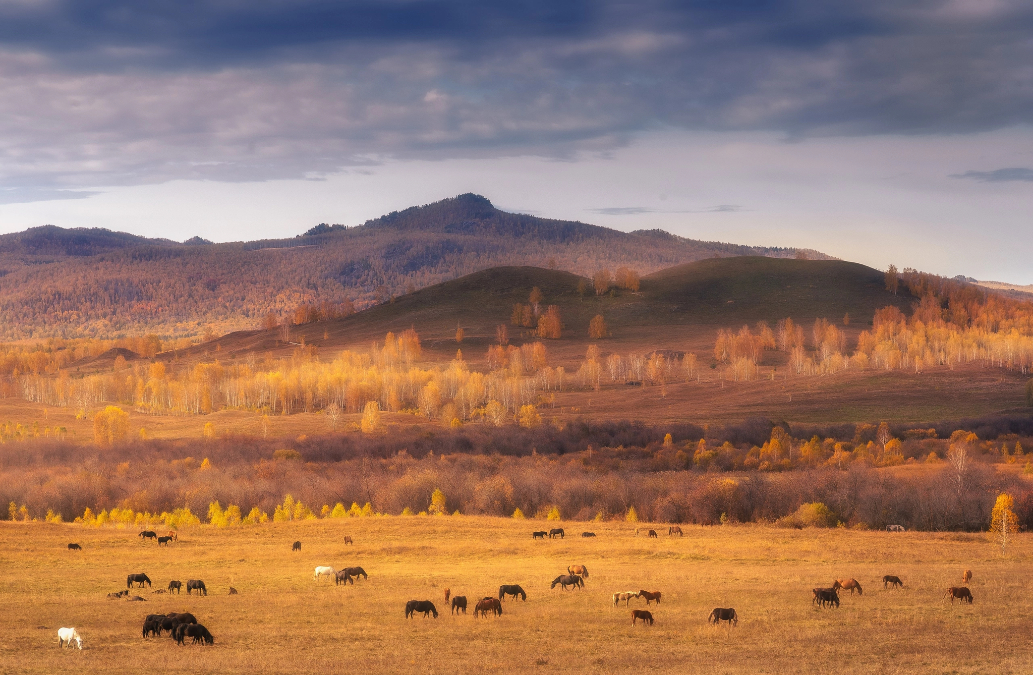 Bashkir roads - My, Landscape, Autumn, Bashkortostan, Uchily, The photo, The mountains