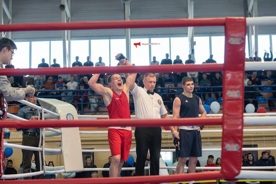 Became the Champion of the 52nd All-Russian Class A Tournament in Memory of V.V. Popenchenko - My, Boxing, Competitions, Victory, Video, Longpost