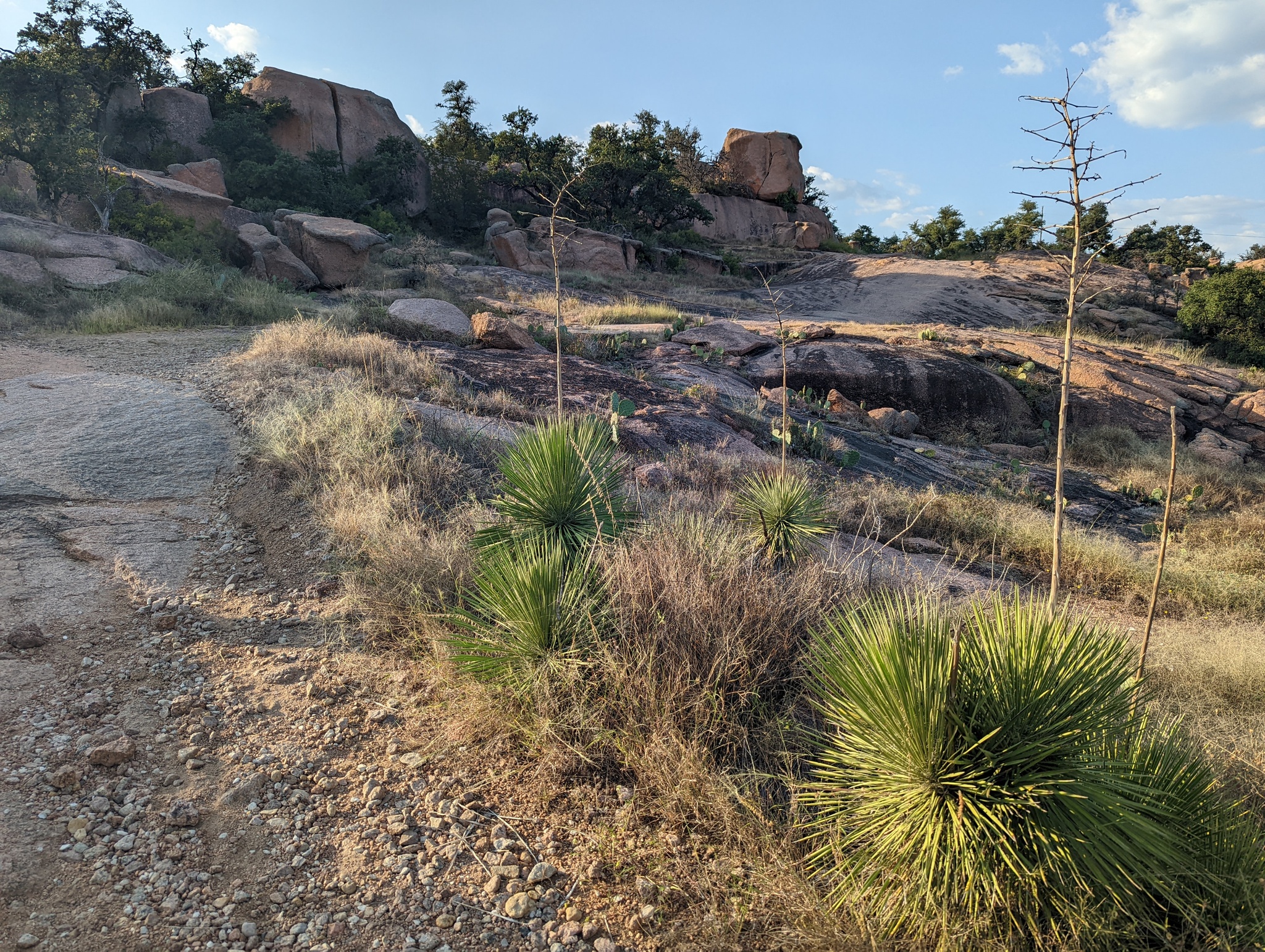 Hello everyone. I continue to post photos of rocks in Texas - Lake, Nature, The photo, Mountain tourism, Mobile photography, Texas, A rock, USA, Road, Video, Longpost, South