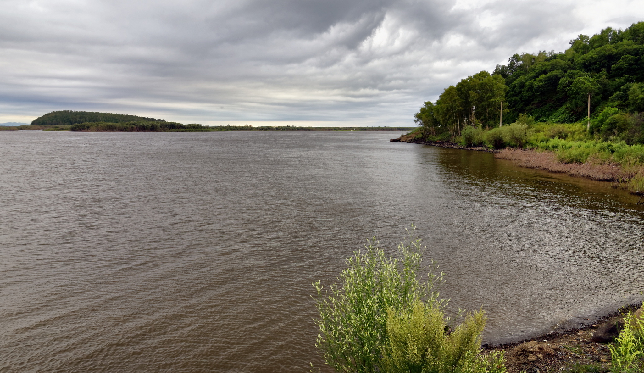 Amur - My, The photo, July, Amur, Khabarovsk region, Longpost