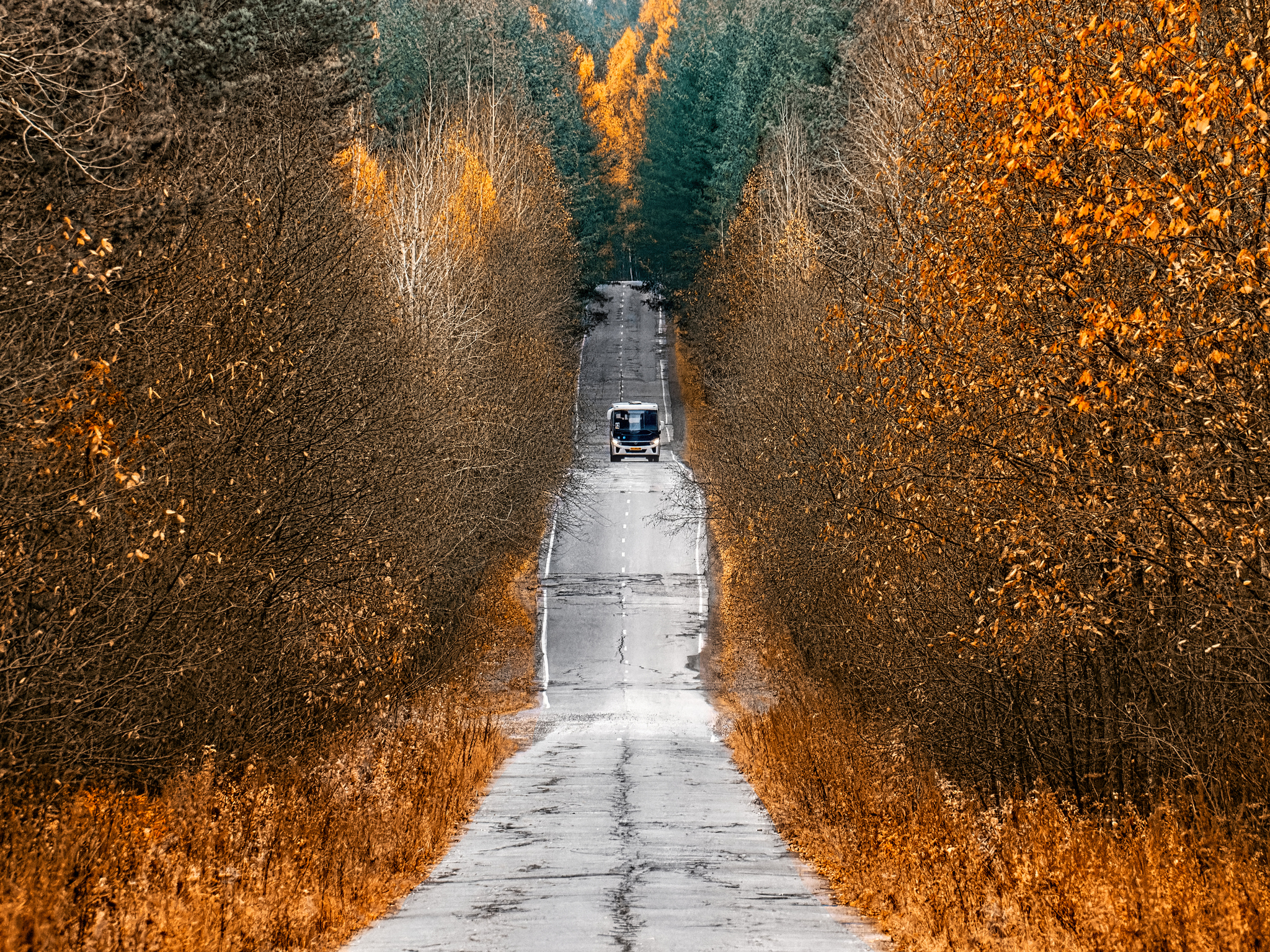 Bus - My, The photo, Canon, Autumn, Landscape, Road, Transport, Bus, Public transport, Perspective, Middle Ural