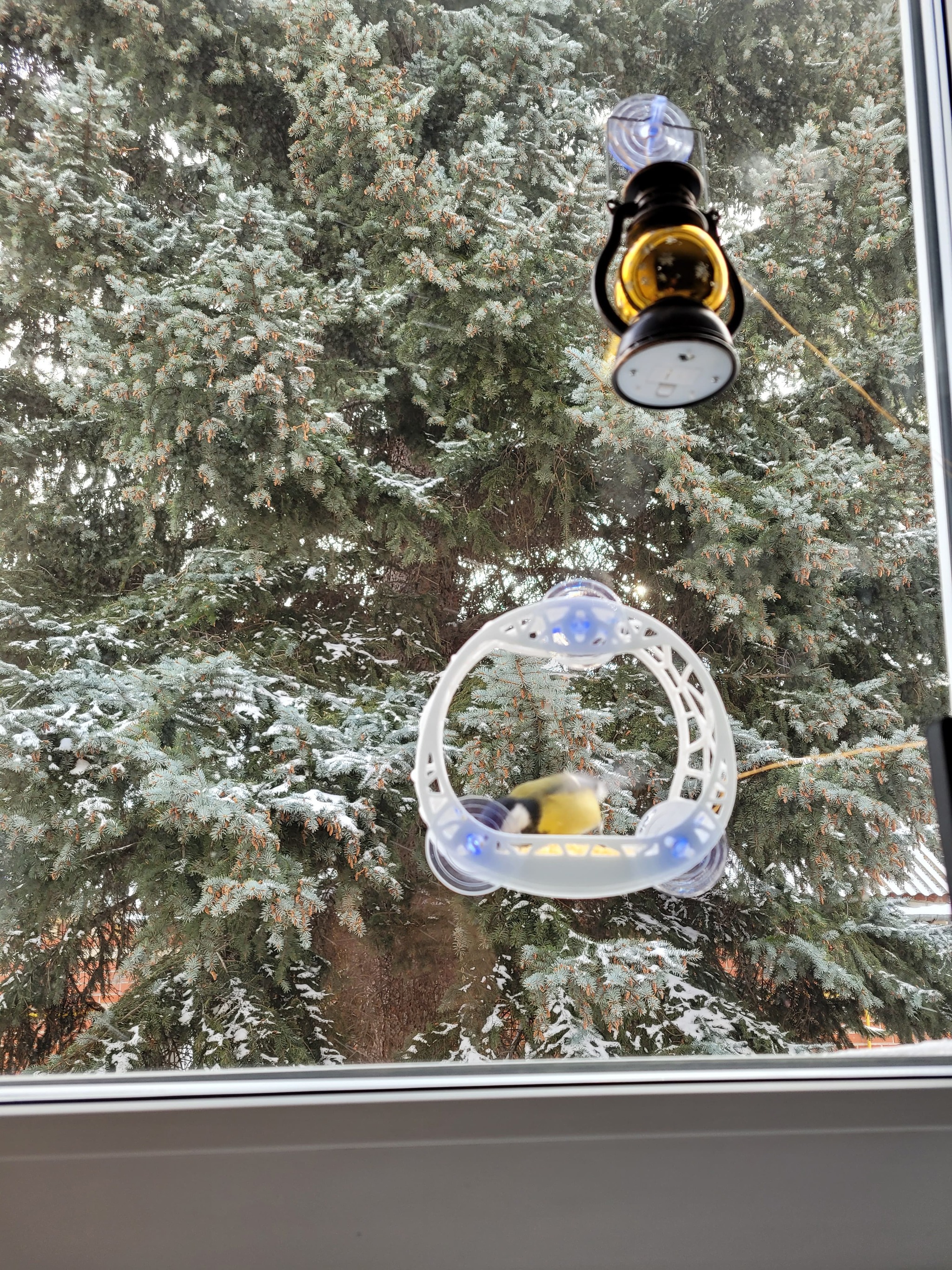 Bird feeder for window + STL for 3D printing - My, Friday tag is mine, Trough, 3D печать, 3D modeling, Tit, Longpost, Design