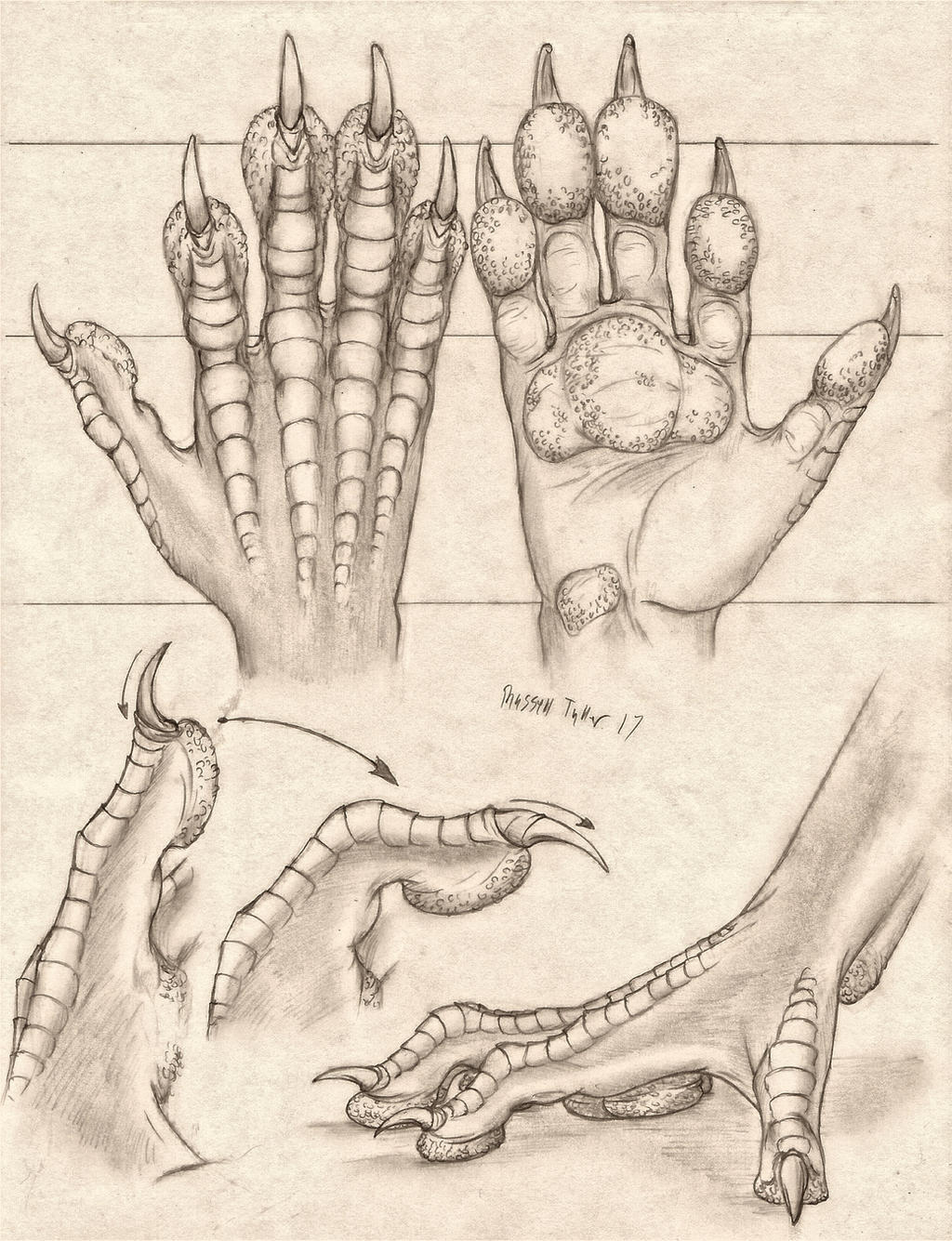 Paws and paws - Furry, Furry fox, Furry dragon, Furry equidae, Furry deer, Furry canine, Legs, Arms, Anatomy, Anthro, Longpost, Furry avian