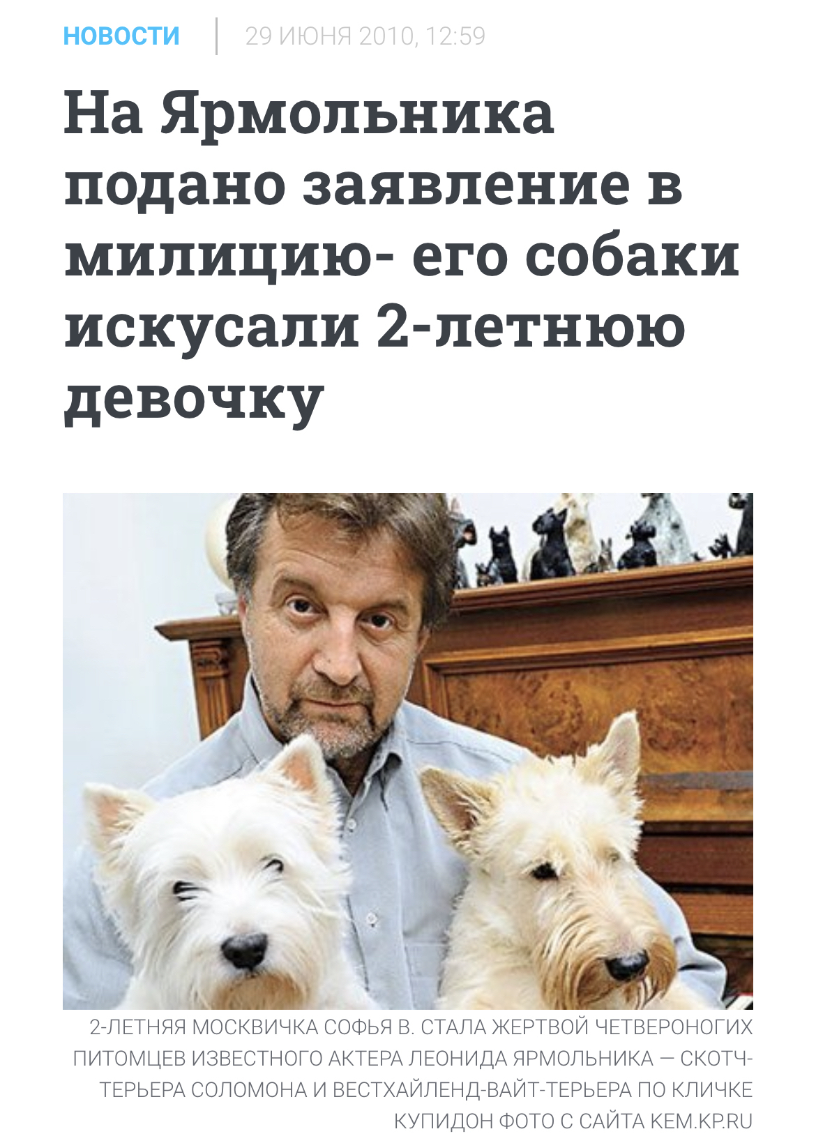 Ответ Rezinoviimozg в «Принятие закона об усыплении бродячих собак в Якутии активно срывала директрисса фонда Ярмольников Дарящие надежду Светлана Сафонова» - Бродячие собаки, Радикальная зоозащита, Нападение собак, Освв, Бурматов, Россия, Якутия, Чульман, Убийство, Дети, Негатив, Ссылка, Новости, Леонид ярмольник, Ответ на пост, Волна постов