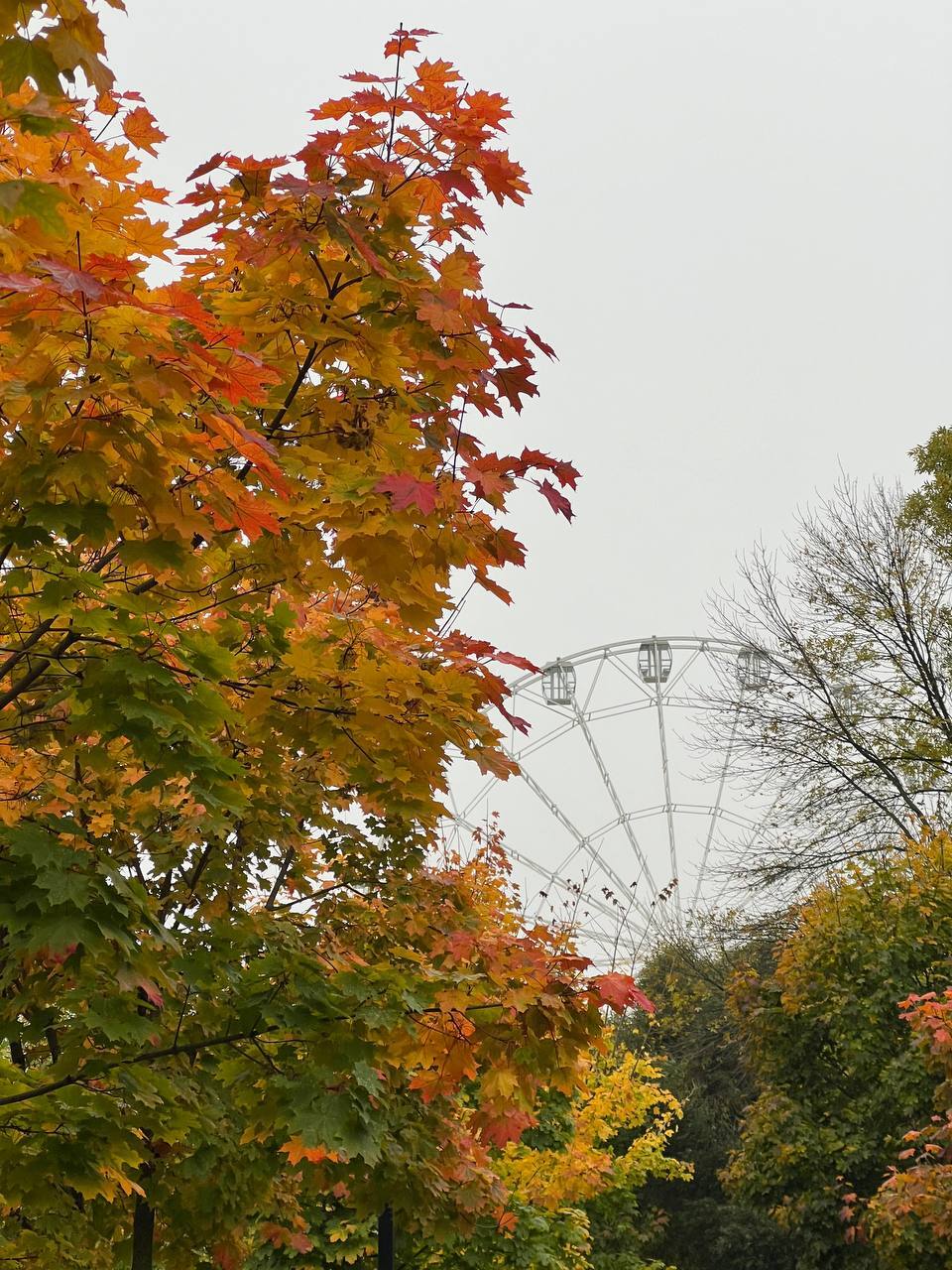 Ivanovo - My, Ivanovo, Travels, Travel across Russia, Gold ring of Russia, City of Brides, Autumn, Longpost