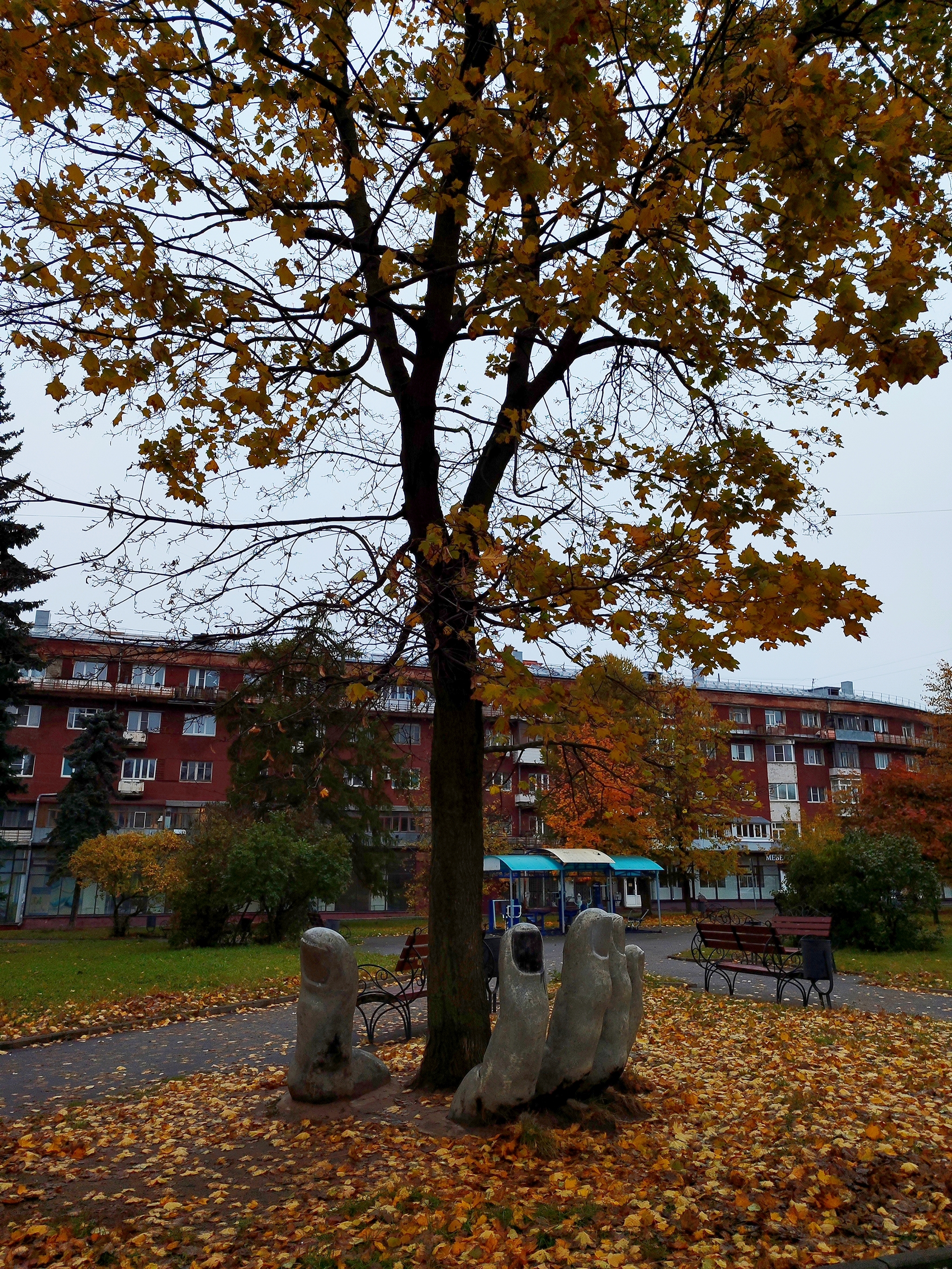 Ivanovo - My, Ivanovo, Travels, Travel across Russia, Gold ring of Russia, City of Brides, Autumn, Longpost