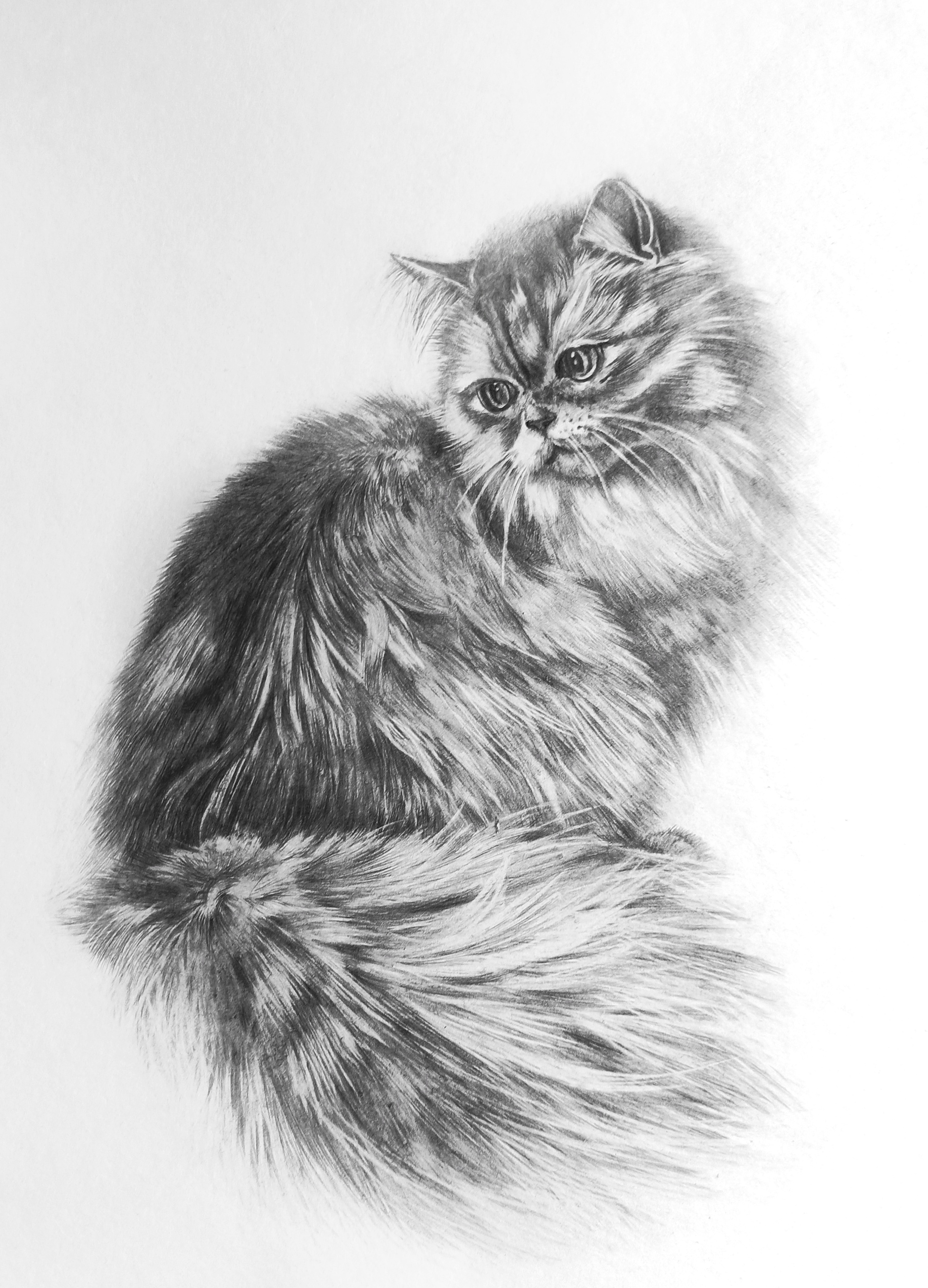 Home - My, Drawing, Graphics, cat, Pencil drawing, Creation