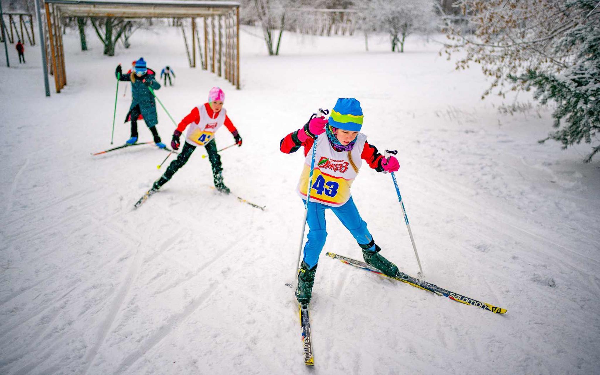 By 2030, every district of Moscow will have heated outdoor swimming pools and skating rinks with artificial ice - Relaxation, Leisure, Swimming pool, Skis, Ice rink, news, Moscow