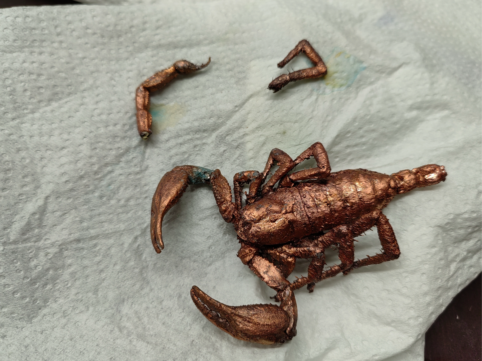 I didn't succeed! Working with a scorpion - My, Chemistry, Experiment, Electroplating, Galvanoplastics, Scorpions, Longpost