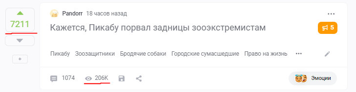 Reply to the post It seems Pikabu has torn the asses of zooextremists - Peekaboo, Animal defenders, Stray dogs, Urban crazy, The right to live, Longpost, VKontakte (link), The strength of the Peekaboo, Dog attack, Swarms, Screenshot, A wave of posts, No rating, Reply to post