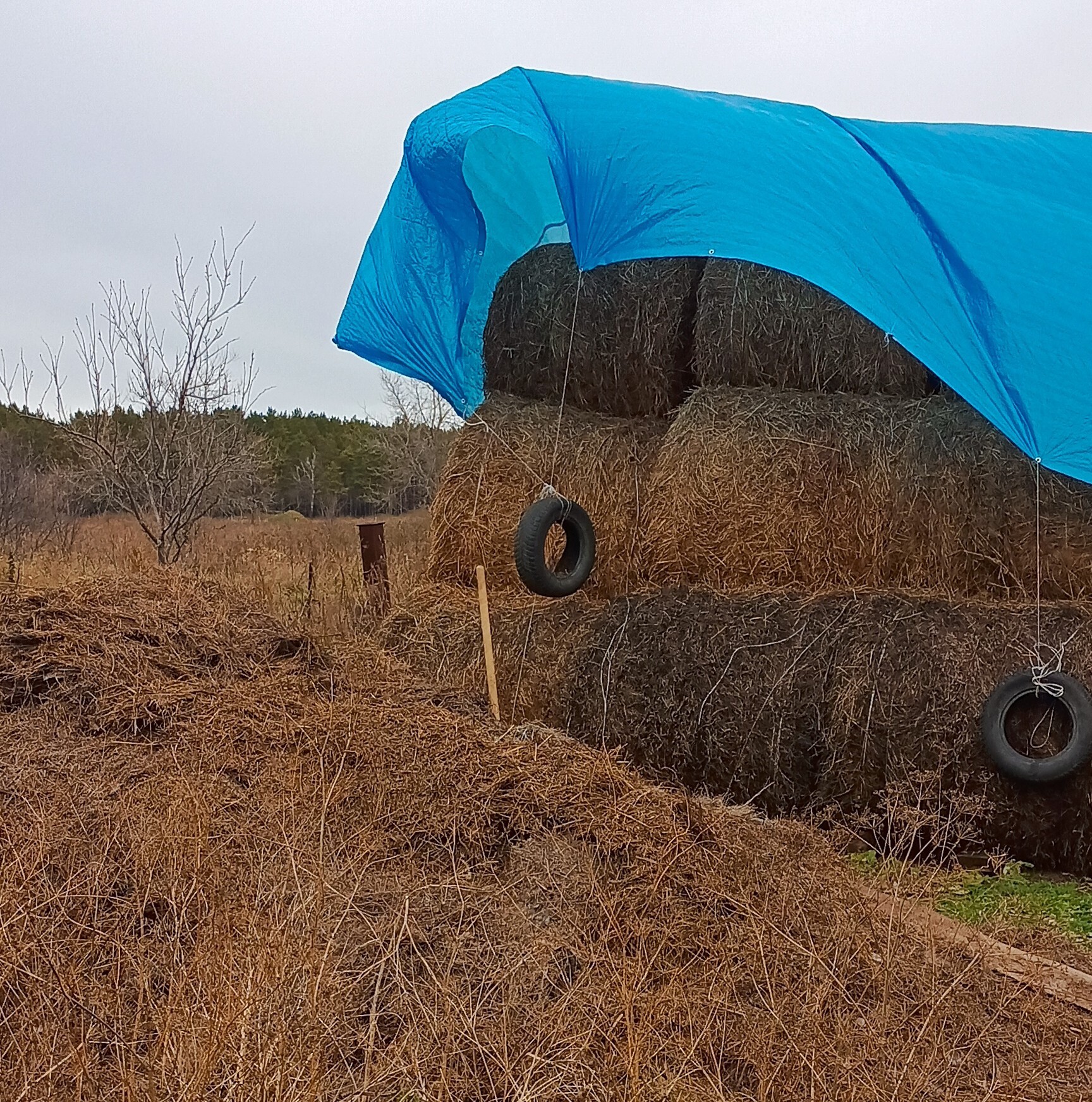 Autumn-windy - My, Autumn, Wind, Hay, The photo, Village, Village