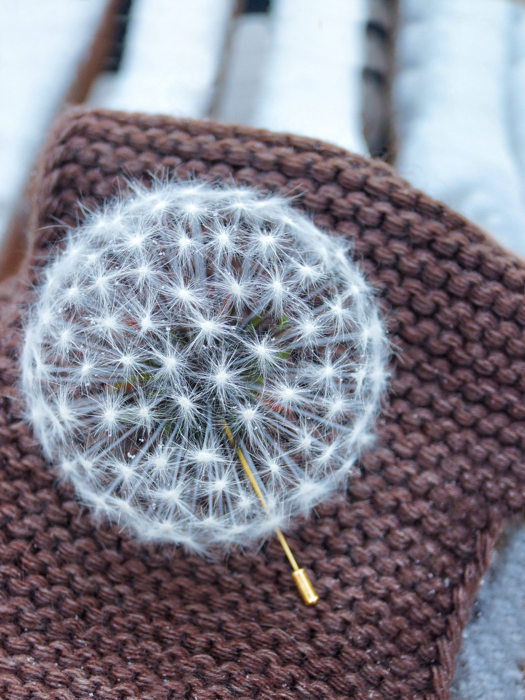 What do dandelions hide. How do I create them? - My, Process, Handmade, Workshop, Needlework without process, Needlework with process, Hobby, Art, Creation, Master, Decoration, For women, Accessories, Bijouterie, Presents, Dandelion, Flowers, Earrings, Brooch, Longpost