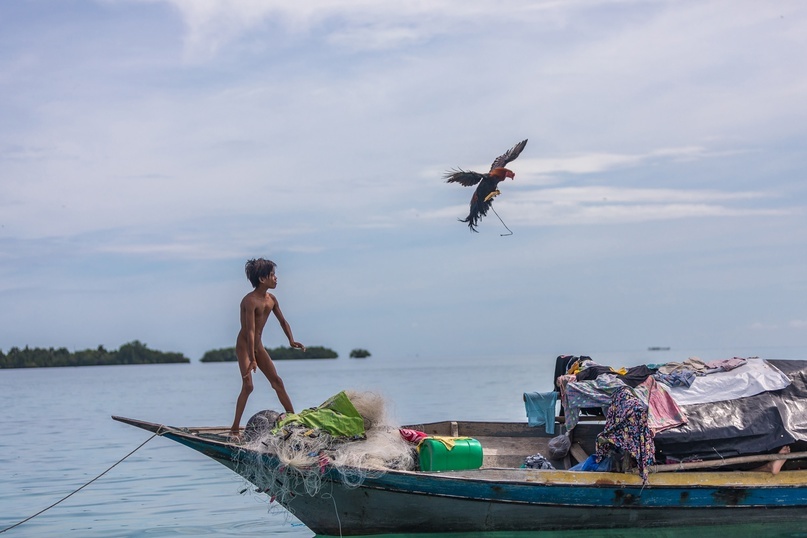 The Bajau are sea gypsies who live below the wind level. - My, Borneo, Gypsies, Around the world, Longpost