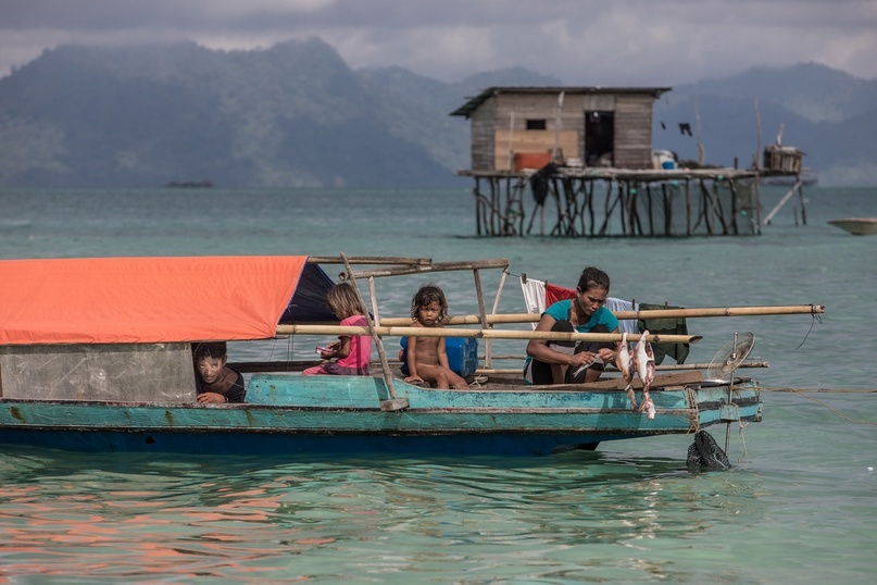 The Bajau are sea gypsies who live below the wind level. - My, Borneo, Gypsies, Around the world, Longpost