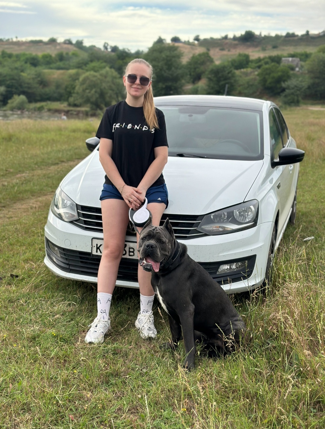 Cane Corso, our first year together has flown by, my little kitten - My, Krasnodar, Cane Corso, Dog, Longpost