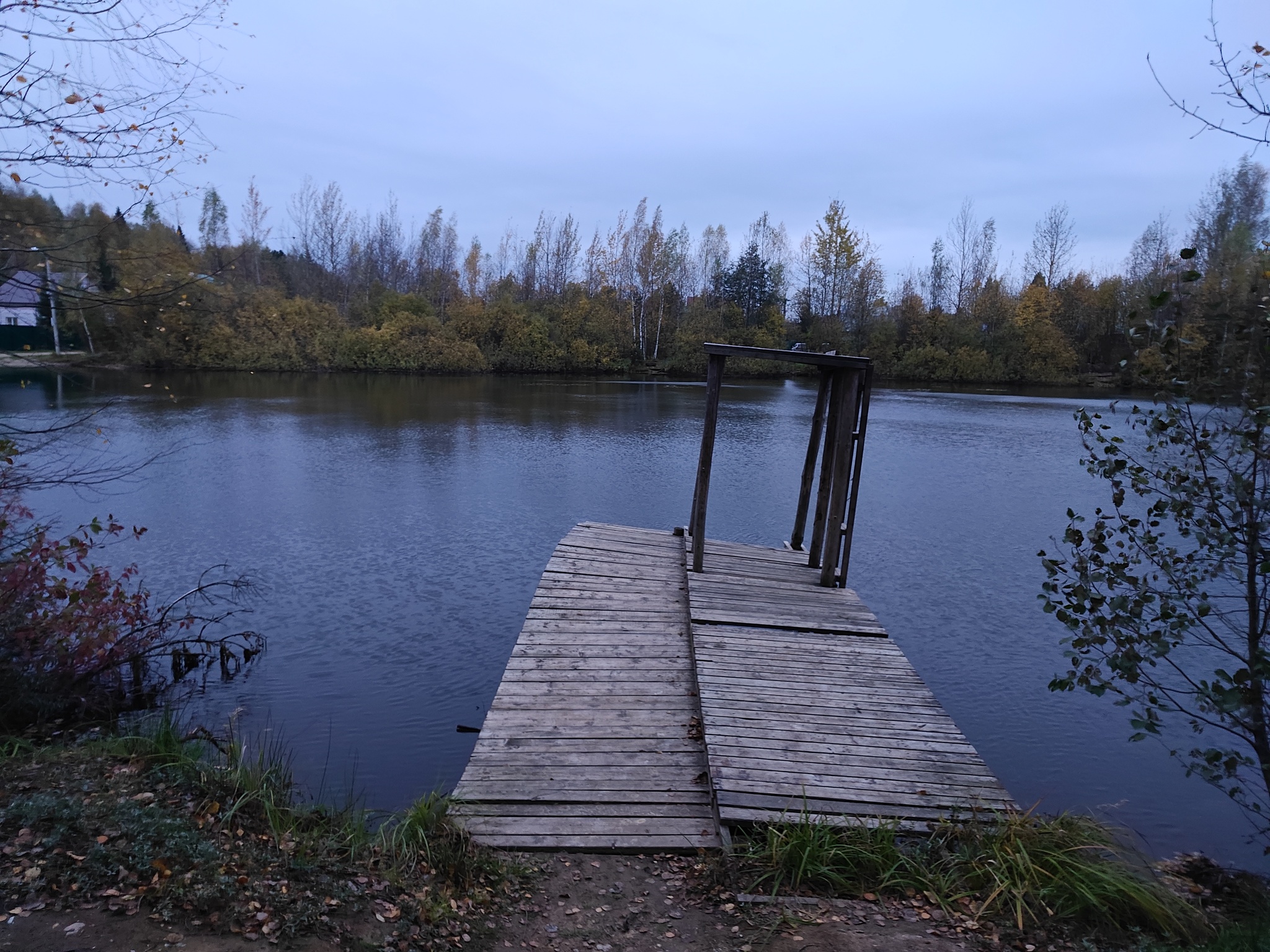 Nature and pigs - My, Chistoman, Moscow region, Nature, Garbage, Autumn, Pond, Relaxation, Longpost