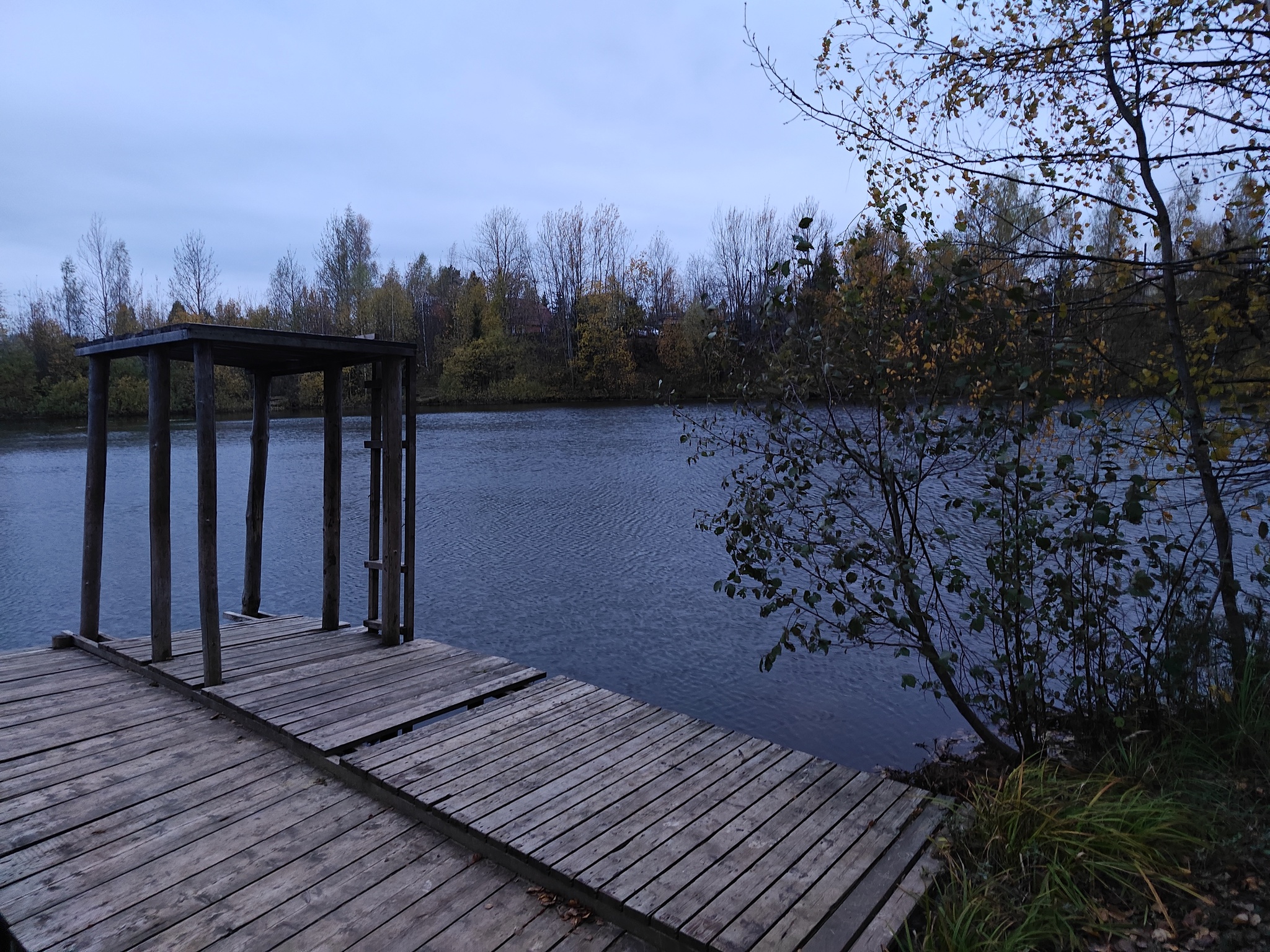 Nature and pigs - My, Chistoman, Moscow region, Nature, Garbage, Autumn, Pond, Relaxation, Longpost