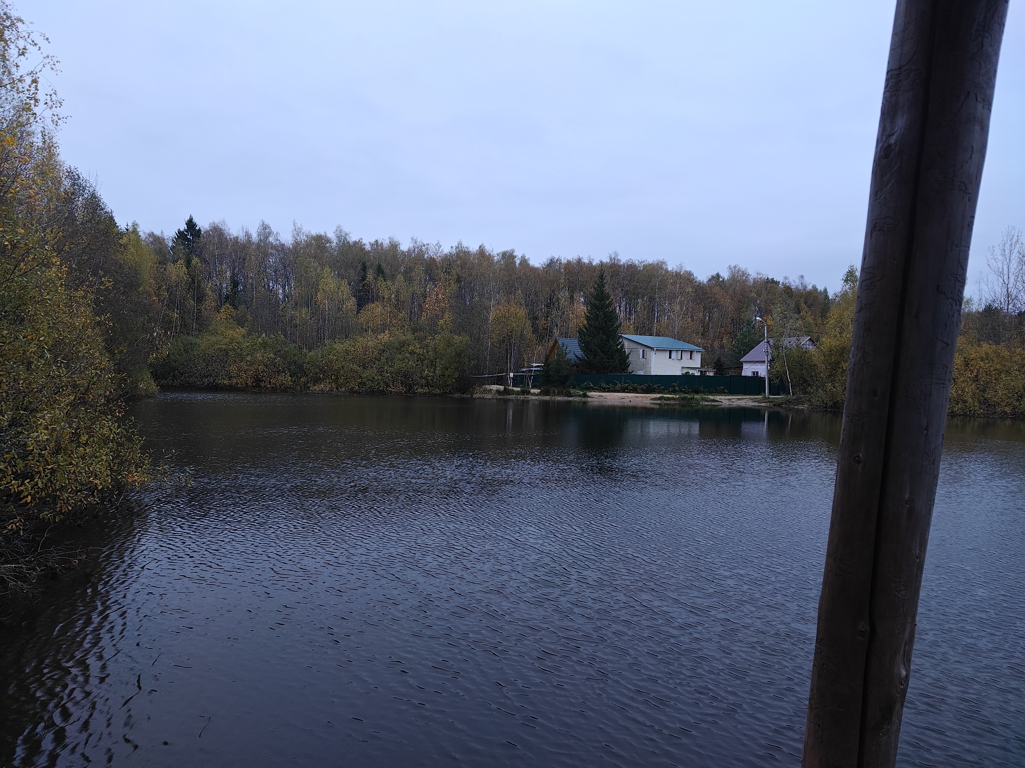 Nature and pigs - My, Chistoman, Moscow region, Nature, Garbage, Autumn, Pond, Relaxation, Longpost