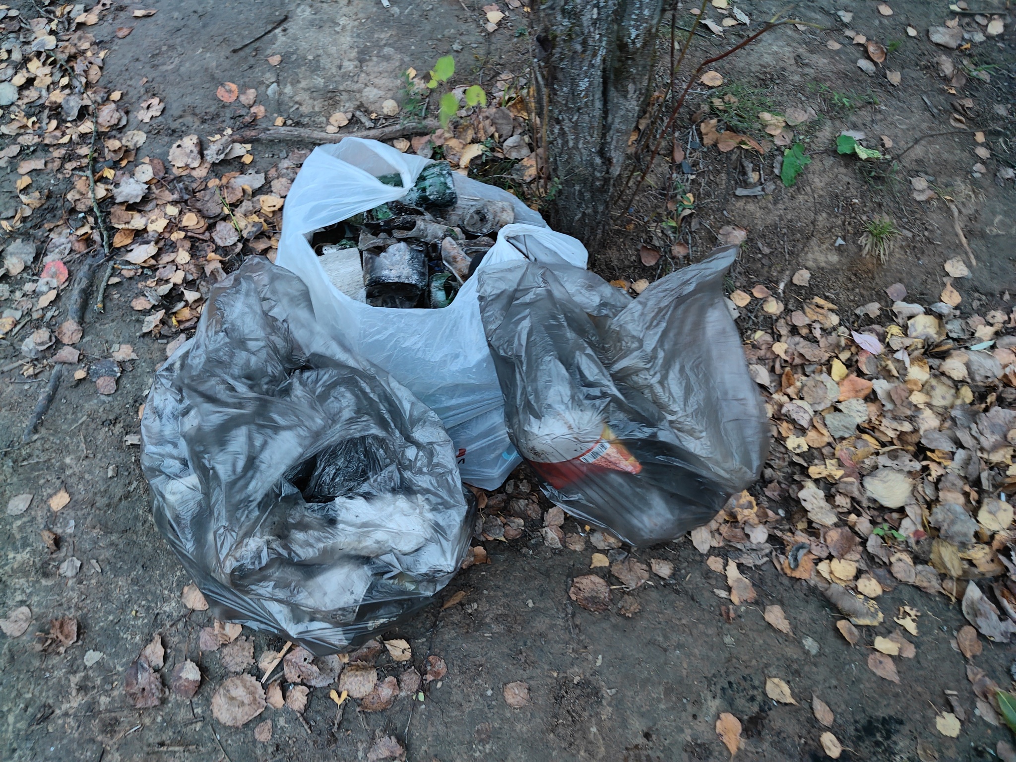 Nature and pigs - My, Chistoman, Moscow region, Nature, Garbage, Autumn, Pond, Relaxation, Longpost