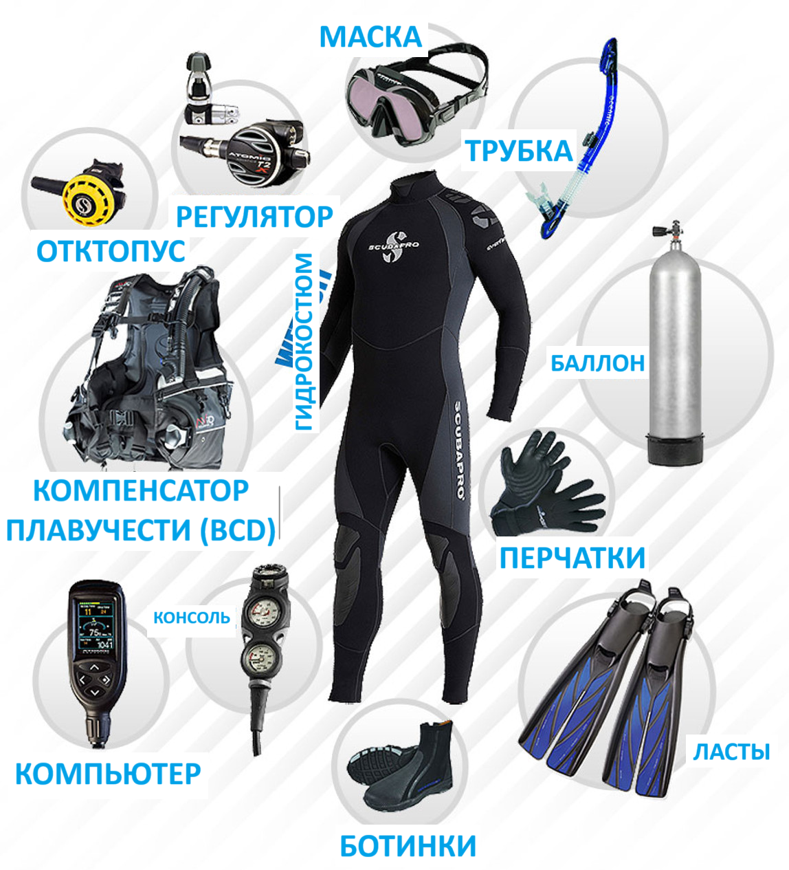 If you have excess money, there is a way out - take up scuba diving - My, Ocean, Sea, Scuba, Equipment, Safety, Scuba Diver, Video, Youtube, Mat, Longpost, cat