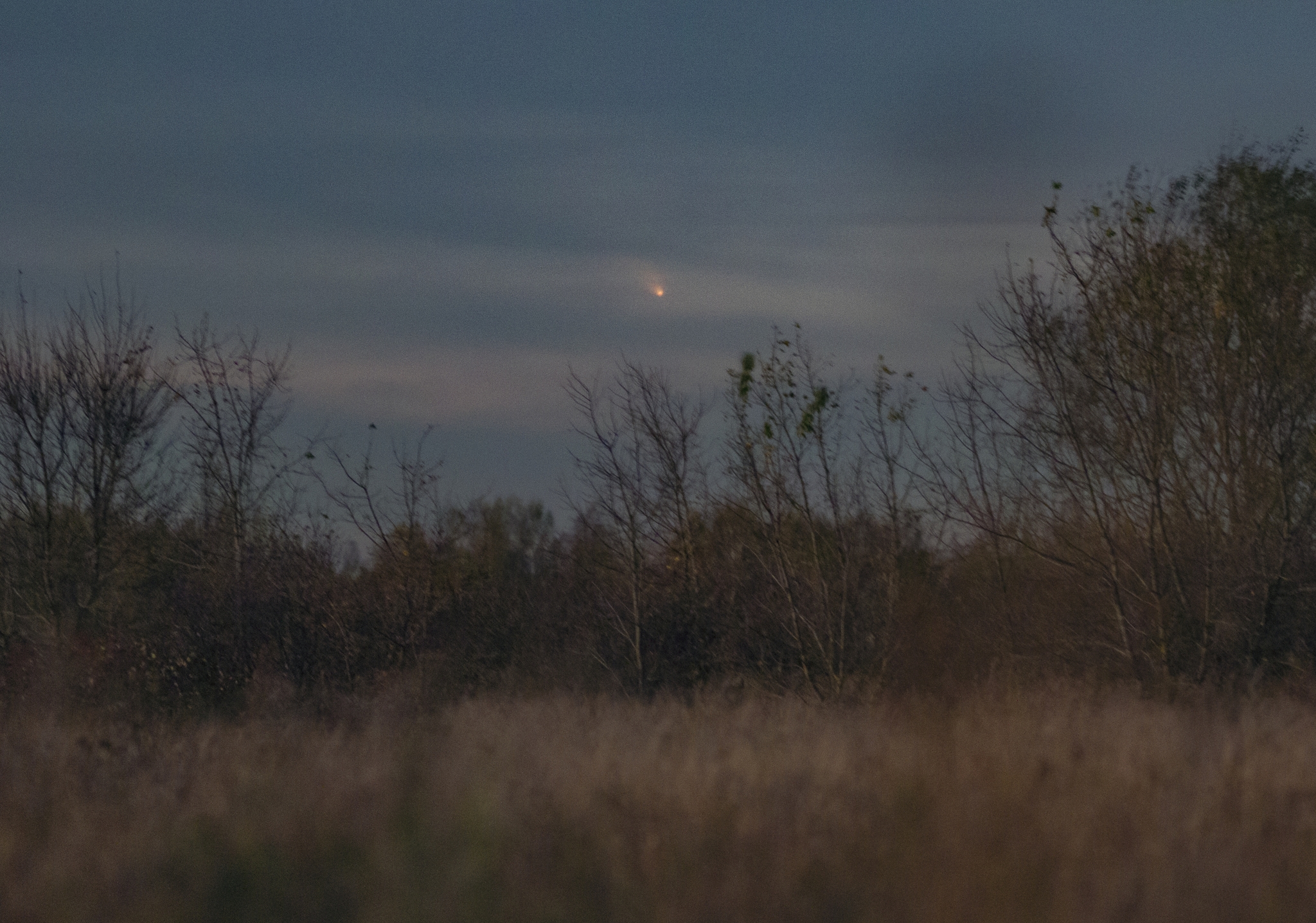 Comet on the horizon through the clouds - My, Astrophoto, Comet