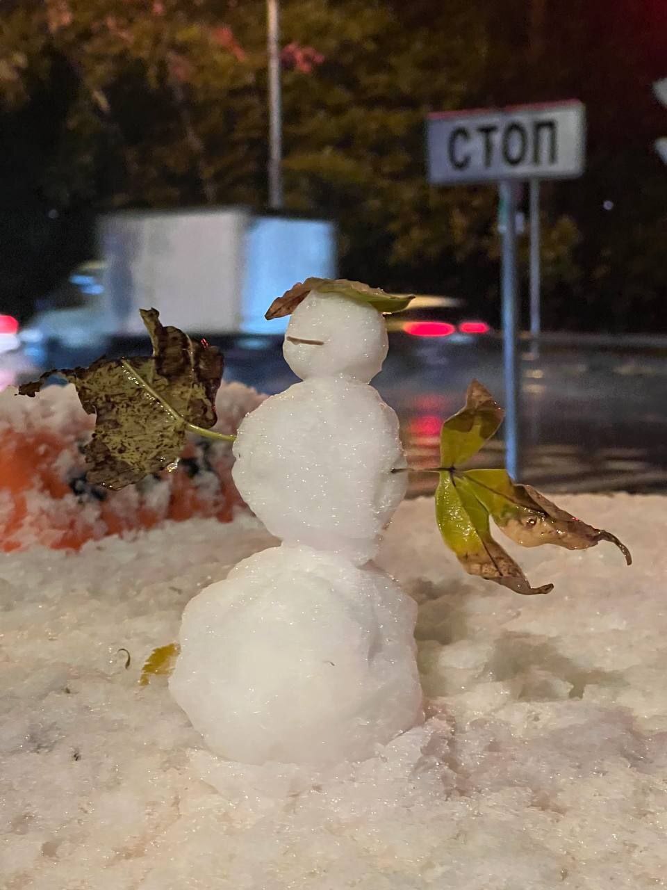 First snowman spotted in Moscow - My, Moscow, Moscow region, Snow, snowman, The photo, Snowfall, Snow removal, First snow, Snowblower, Winter, Cold, Snowflake, beauty, New Year, New Year's miracle, New Year's decoration