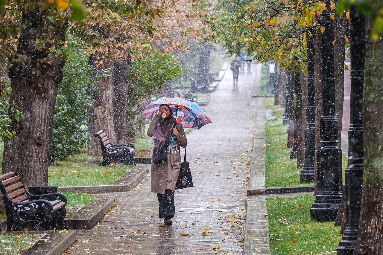 The first snow fell in Moscow: how the capital's residents react - Weather, Moscow, The photo, Video, Video VK, Longpost, Snow, October, Autumn, Reaction, Inhabitants