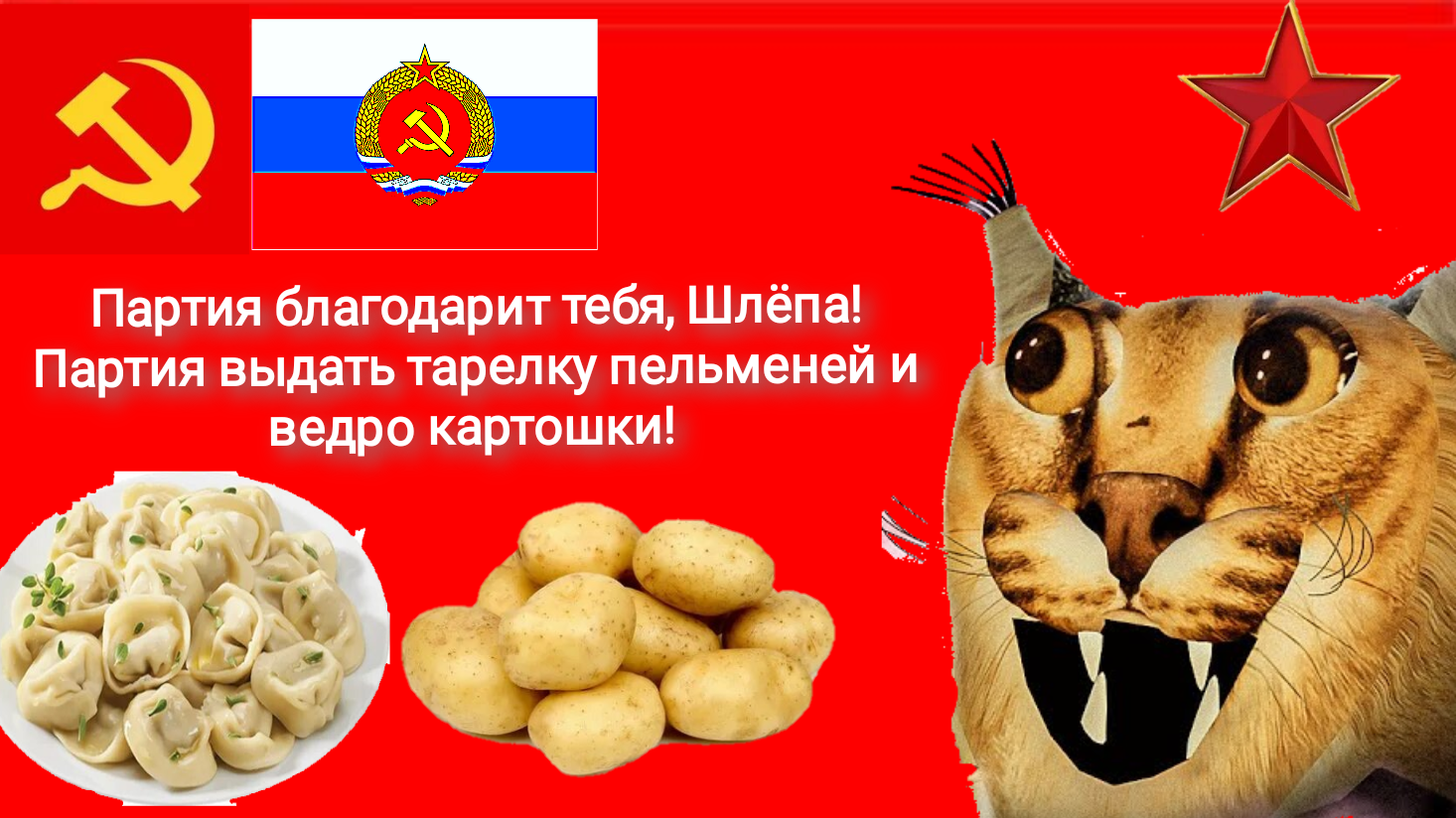 Gratitude from the party! - Humor, Big Slap, Dumplings, the USSR, Potato