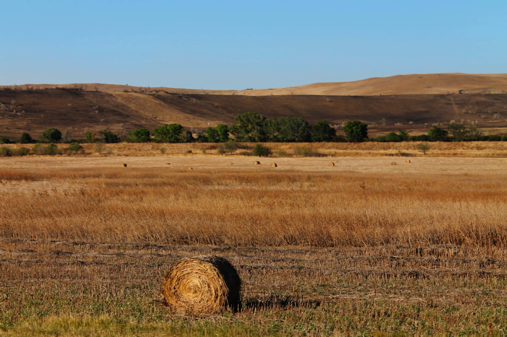 Monday doesn't start with coffee - My, The photo, Nature, Landscape, Straw, Field