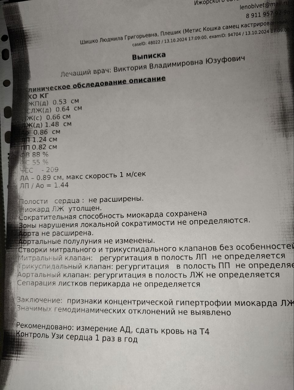 Привет от Плешика. Пожилого, худого кота с проблемными зубами, который сидел на дороге. Вчера было обследование. Есть и хорошие новости - Моё, Кот, Старость, Видео, Вертикальное видео, Длиннопост, Забота, Спасение животных, Помощь животным, Тосно