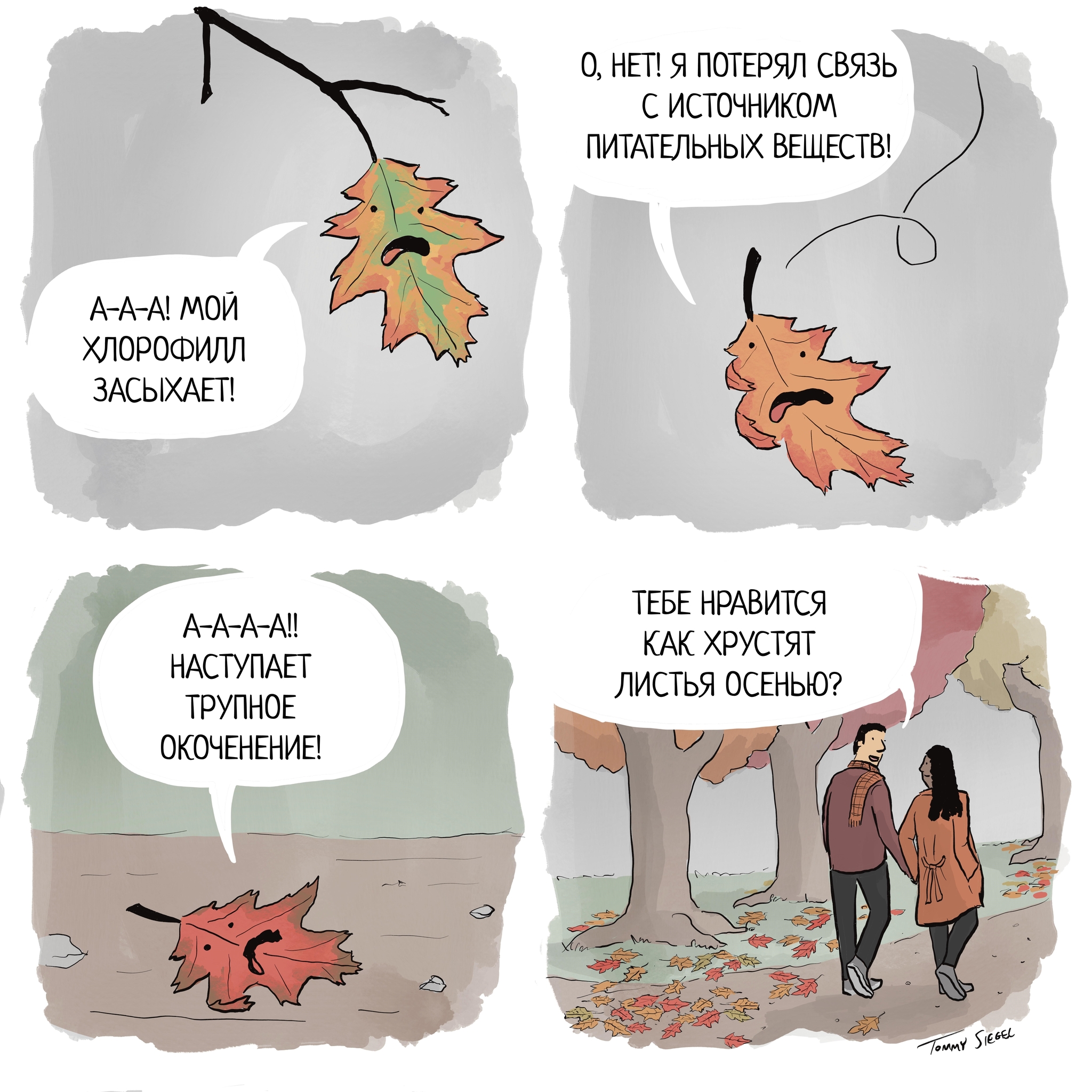 Autumn leaves - My, Translated by myself, Comics, Sad humor, Autumn leaves, Autumn, Tommy siegel