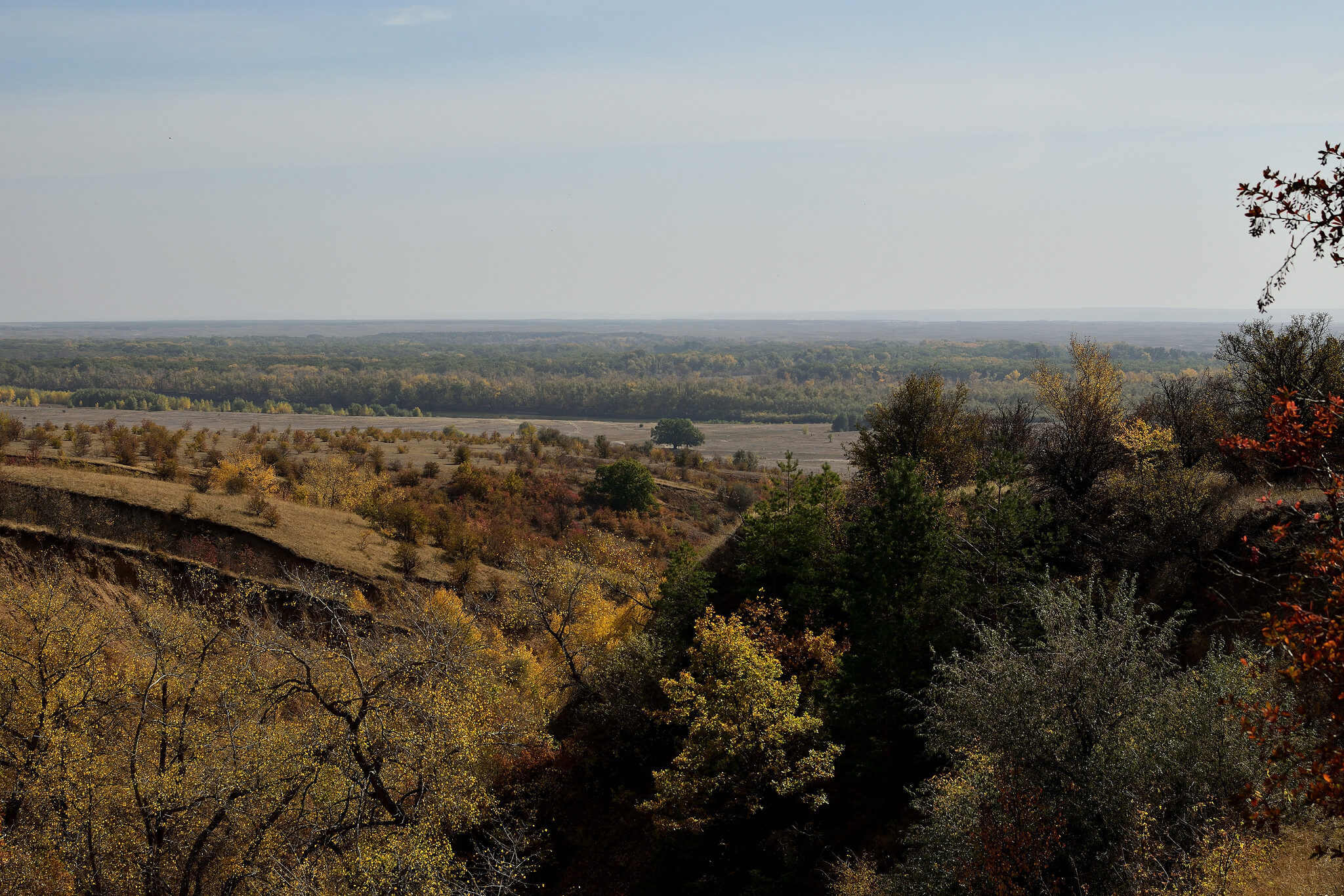 Trip to the Nizhnekhopersky Nature Park - My, Travel across Russia, The photo, Volgograd region, Hopper River, Nature, Autumn, Nature Park, Mikhail Sholokhov, The nature of Russia, Longpost