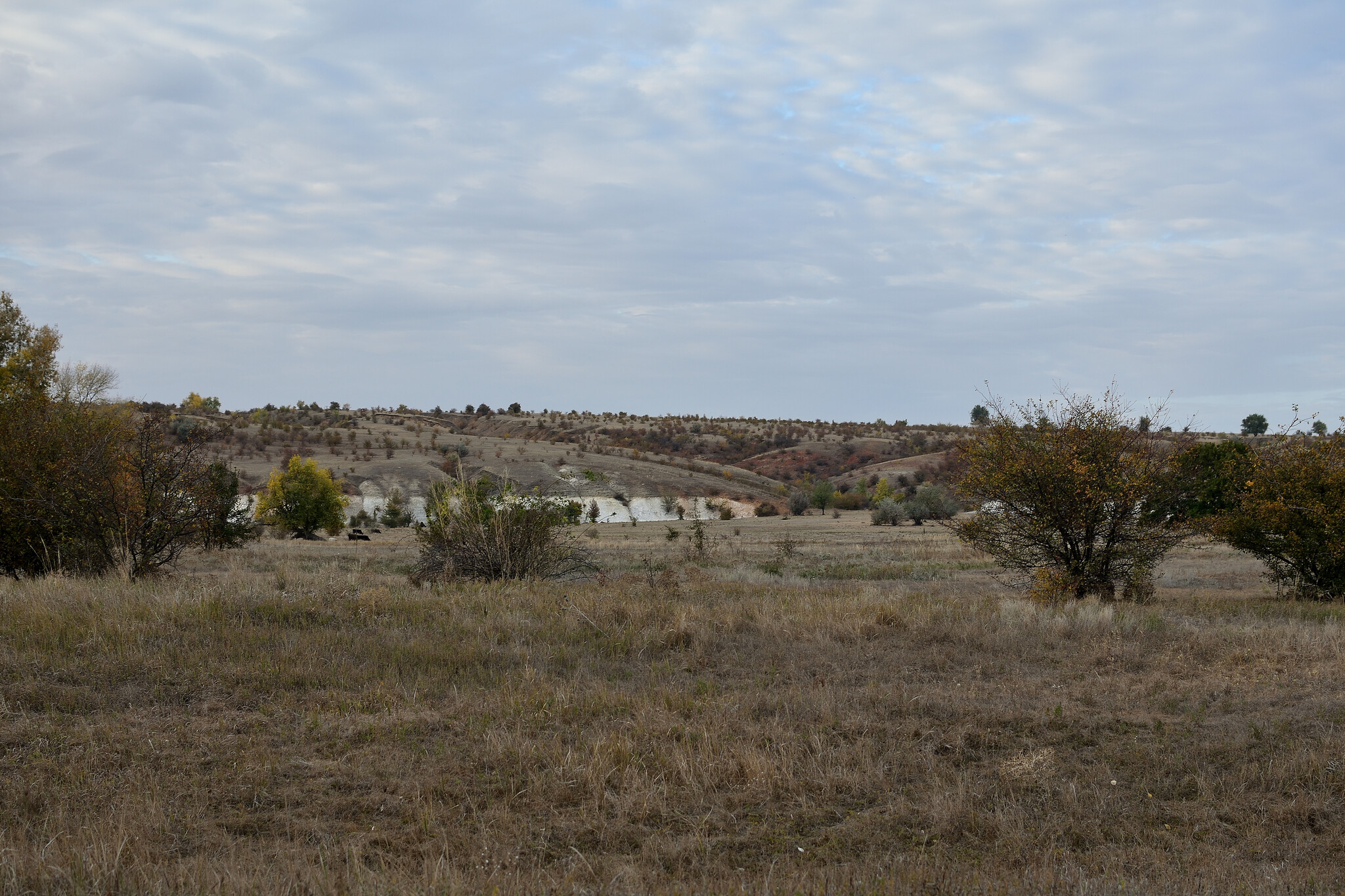 Trip to the Nizhnekhopersky Nature Park - My, Travel across Russia, The photo, Volgograd region, Hopper River, Nature, Autumn, Nature Park, Mikhail Sholokhov, The nature of Russia, Longpost