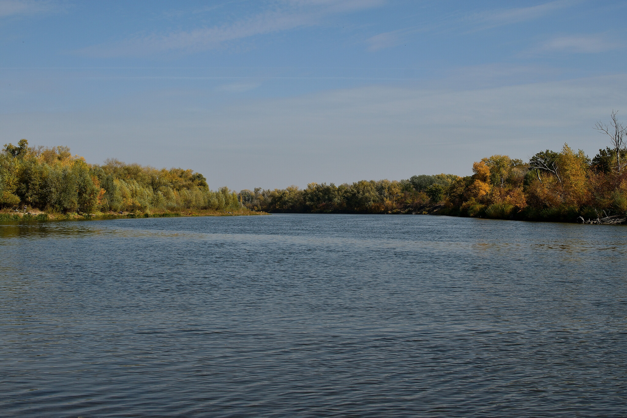 Trip to the Nizhnekhopersky Nature Park - My, Travel across Russia, The photo, Volgograd region, Hopper River, Nature, Autumn, Nature Park, Mikhail Sholokhov, The nature of Russia, Longpost