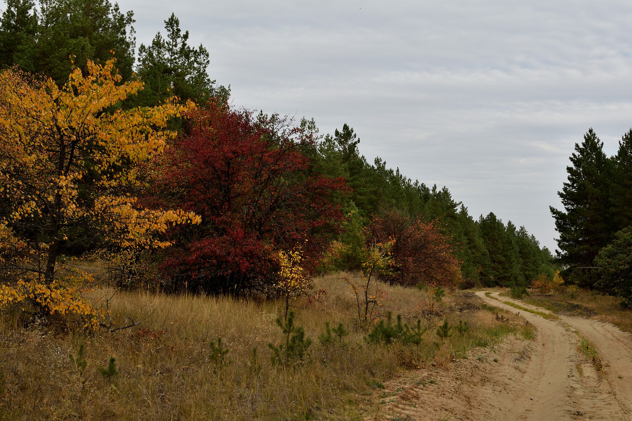 Trip to the Nizhnekhopersky Nature Park - My, Travel across Russia, The photo, Volgograd region, Hopper River, Nature, Autumn, Nature Park, Mikhail Sholokhov, The nature of Russia, Longpost