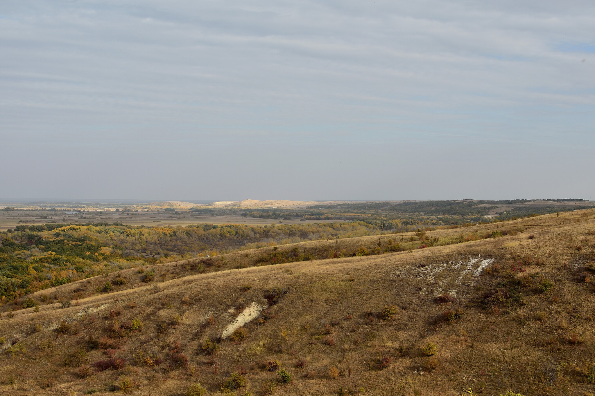 Trip to the Nizhnekhopersky Nature Park - My, Travel across Russia, The photo, Volgograd region, Hopper River, Nature, Autumn, Nature Park, Mikhail Sholokhov, The nature of Russia, Longpost