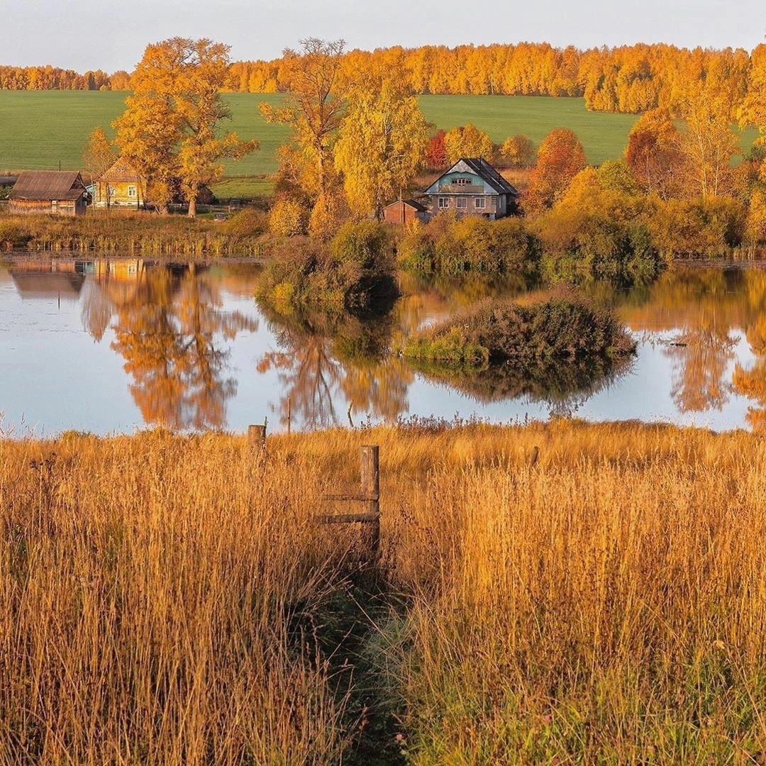 Golden autumn of the Vyatka outback. Verkhosunye village, Kirov region - Autumn, The photo, Village, Nature