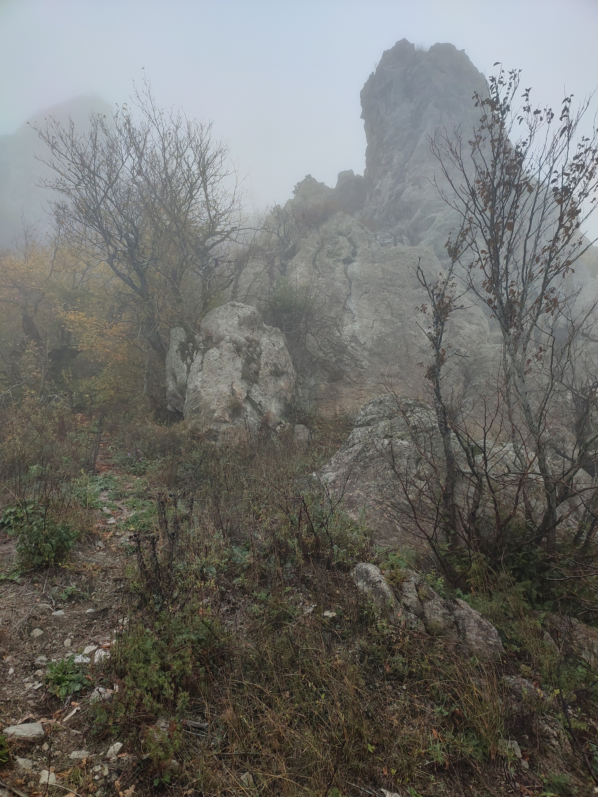 Went to Mount Fox Nose - My, The mountains, Mountain tourism, Longpost