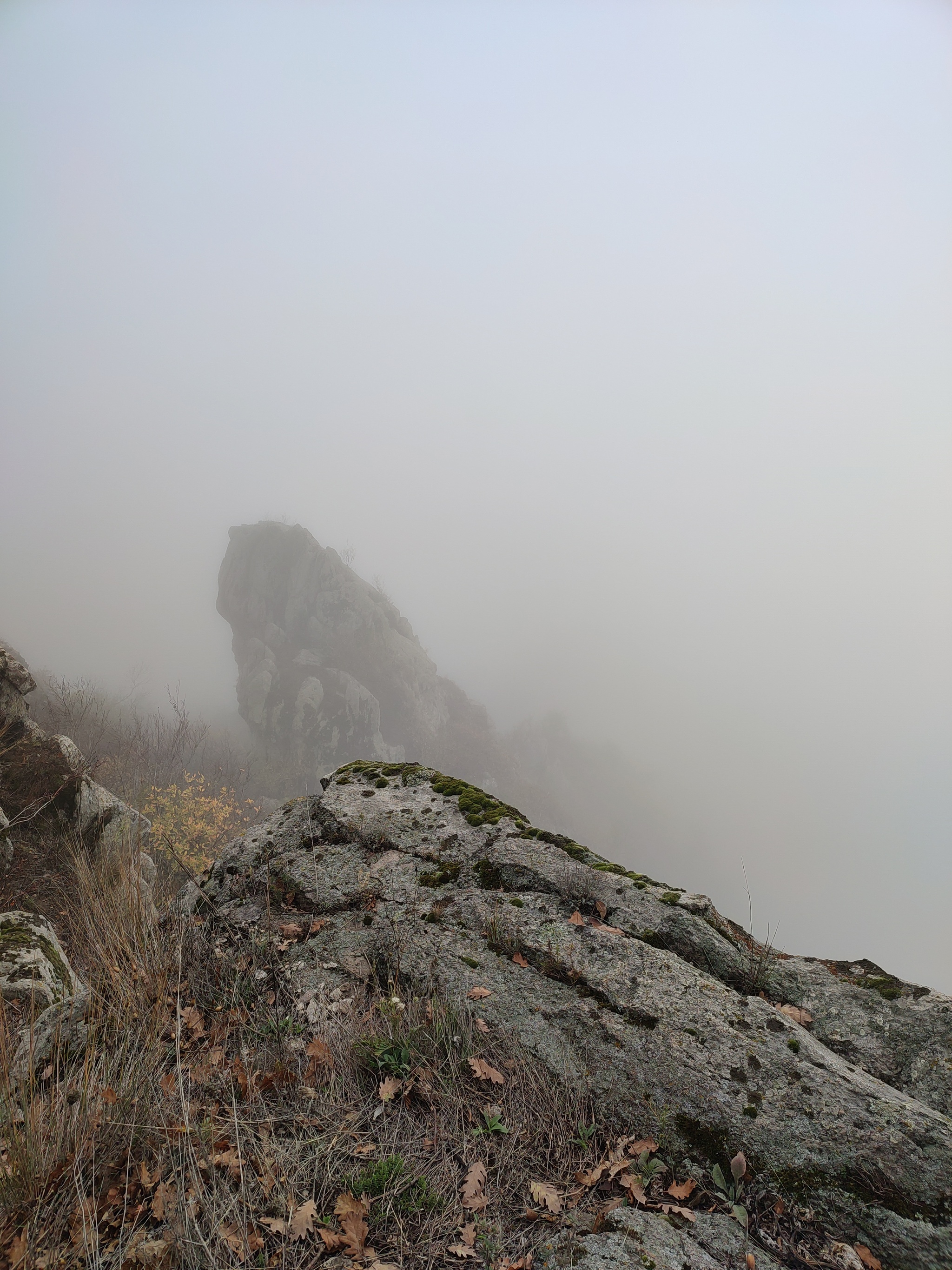 Went to Mount Fox Nose - My, The mountains, Mountain tourism, Longpost