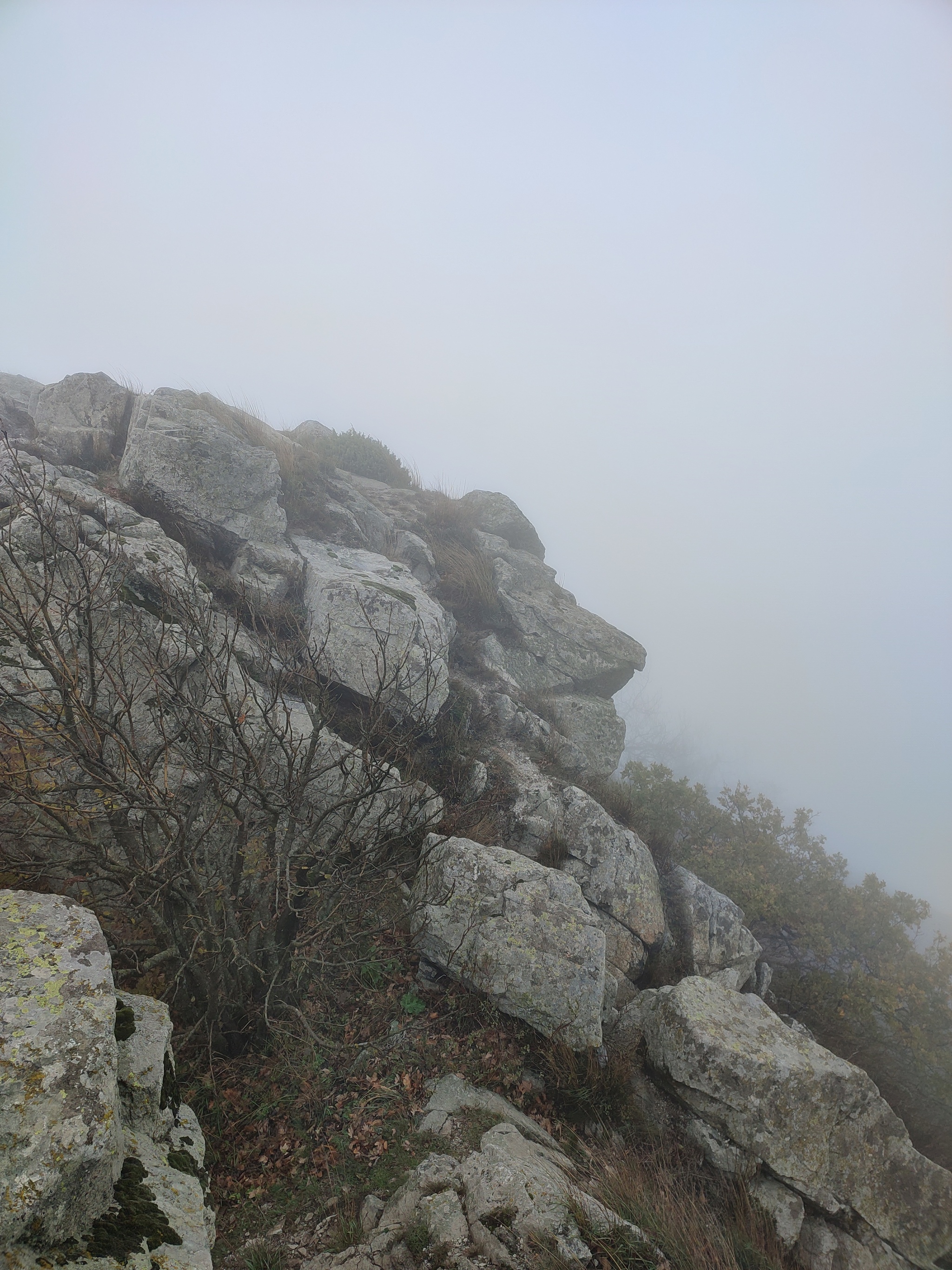 Went to Mount Fox Nose - My, The mountains, Mountain tourism, Longpost