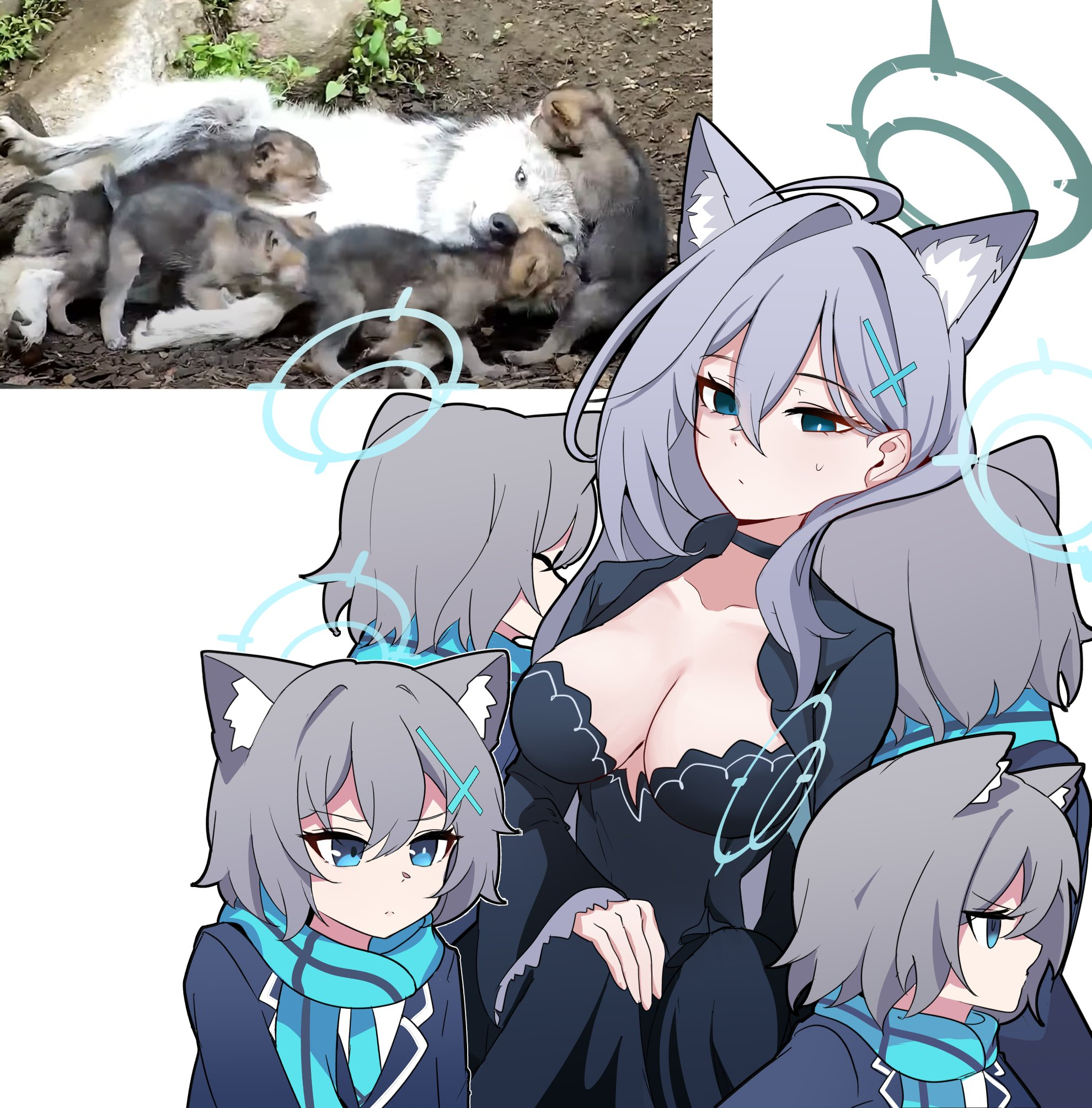 Continuation of the post Wolves - Blue archive, Sunaookami shiroko, Shiroko Terror, Art, Girls, Games, Anime art, Anime, Animal ears, 2D vs 3D, Reply to post, A wave of posts