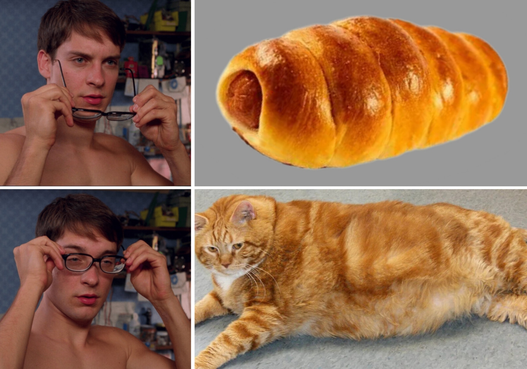 Sausage in wool - My, Humor, Fat cats, Sausage in dough, Similarity, cat, Images