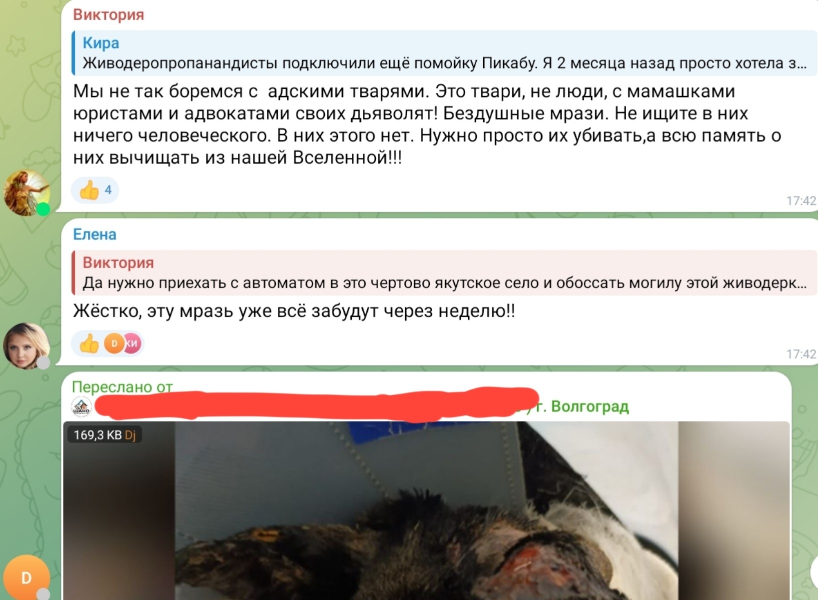 Get the kids away from the screens.... Zooshiza is now crying in furious outbursts. This correspondence is a nightmare... - Ban, Peekaboo, Radical animal protection, Schizophrenia, Hatred, Anger, Negative, Moderation, Stray dogs, Dog bite, Indignation, Horror, Chulman, Yakutia, Longpost